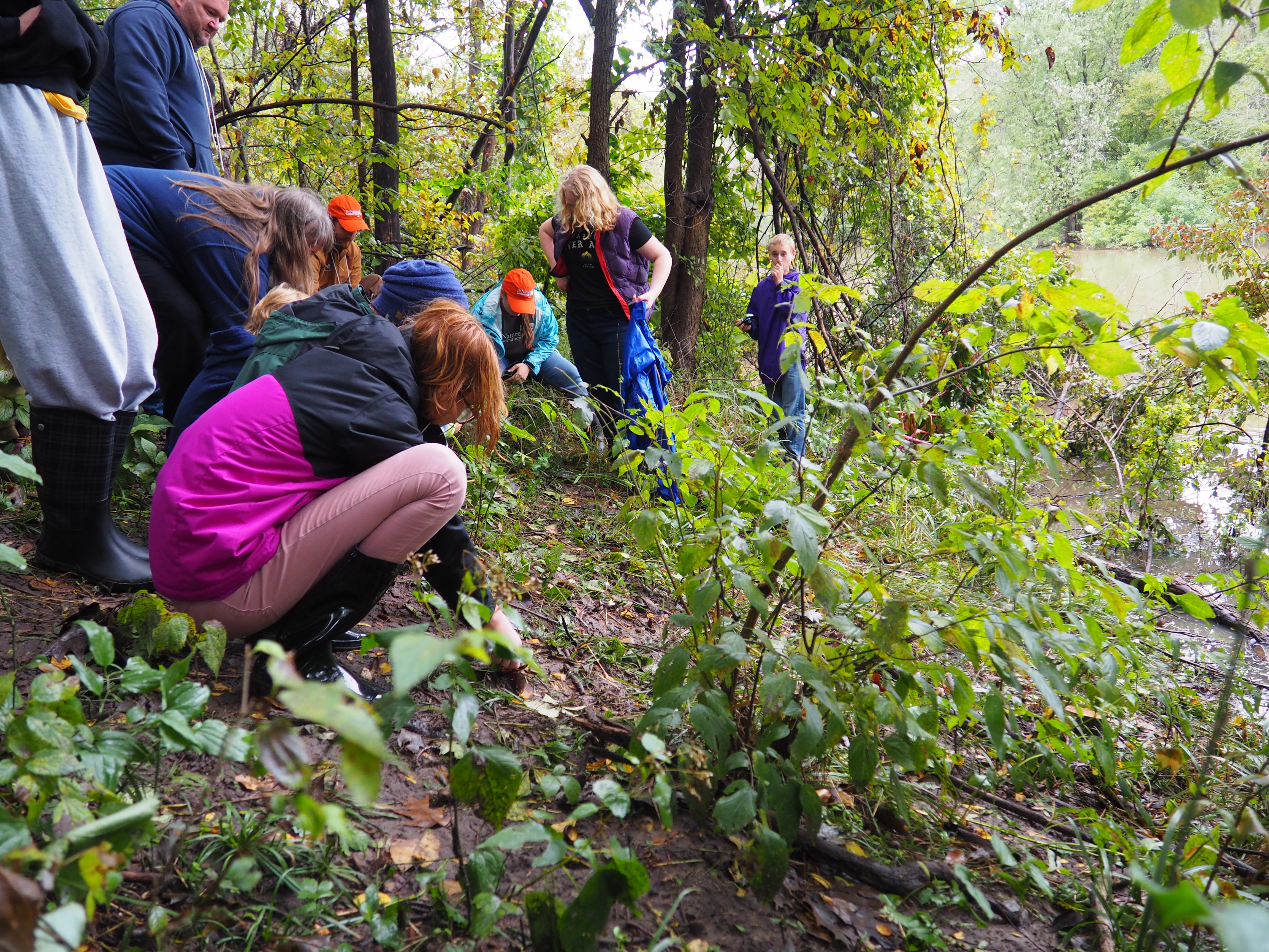 A group of event attendees gather in a group, some kneeling down, in an area of vegetation at a TNC preserve.