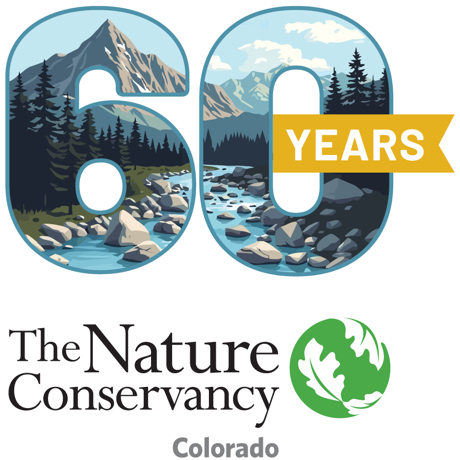 60 year anniversary logo.