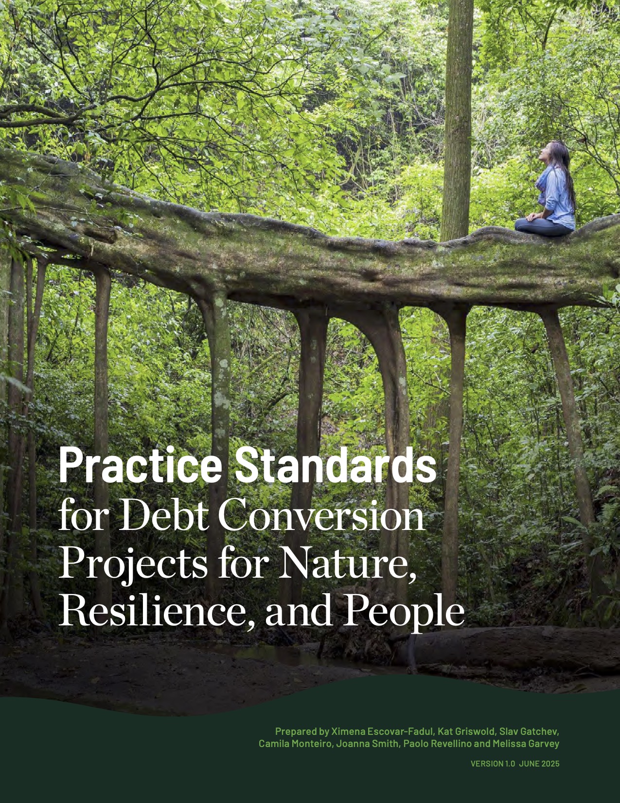 Cover of the Practice Standards document.