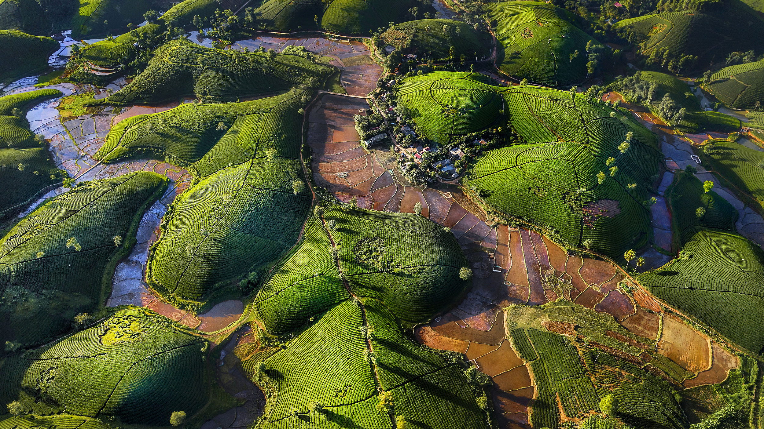 an aerial view of a hilly green tea plantation with high and low lying areas