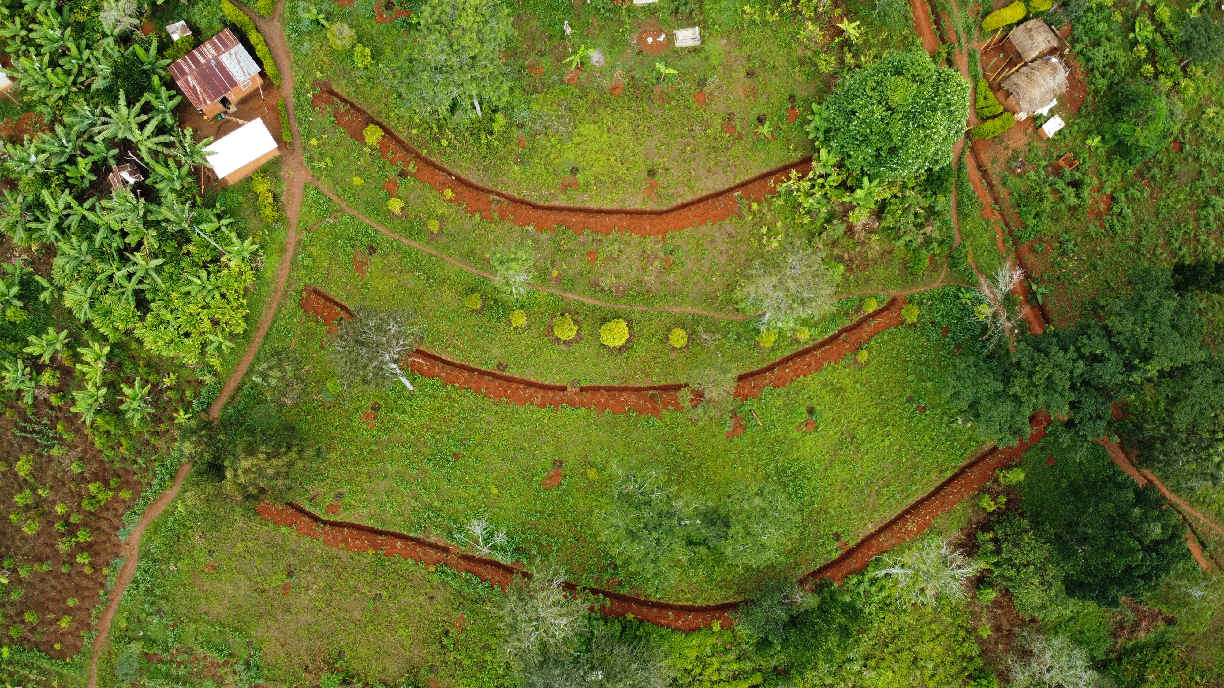 Aerial view of terraced farm land.