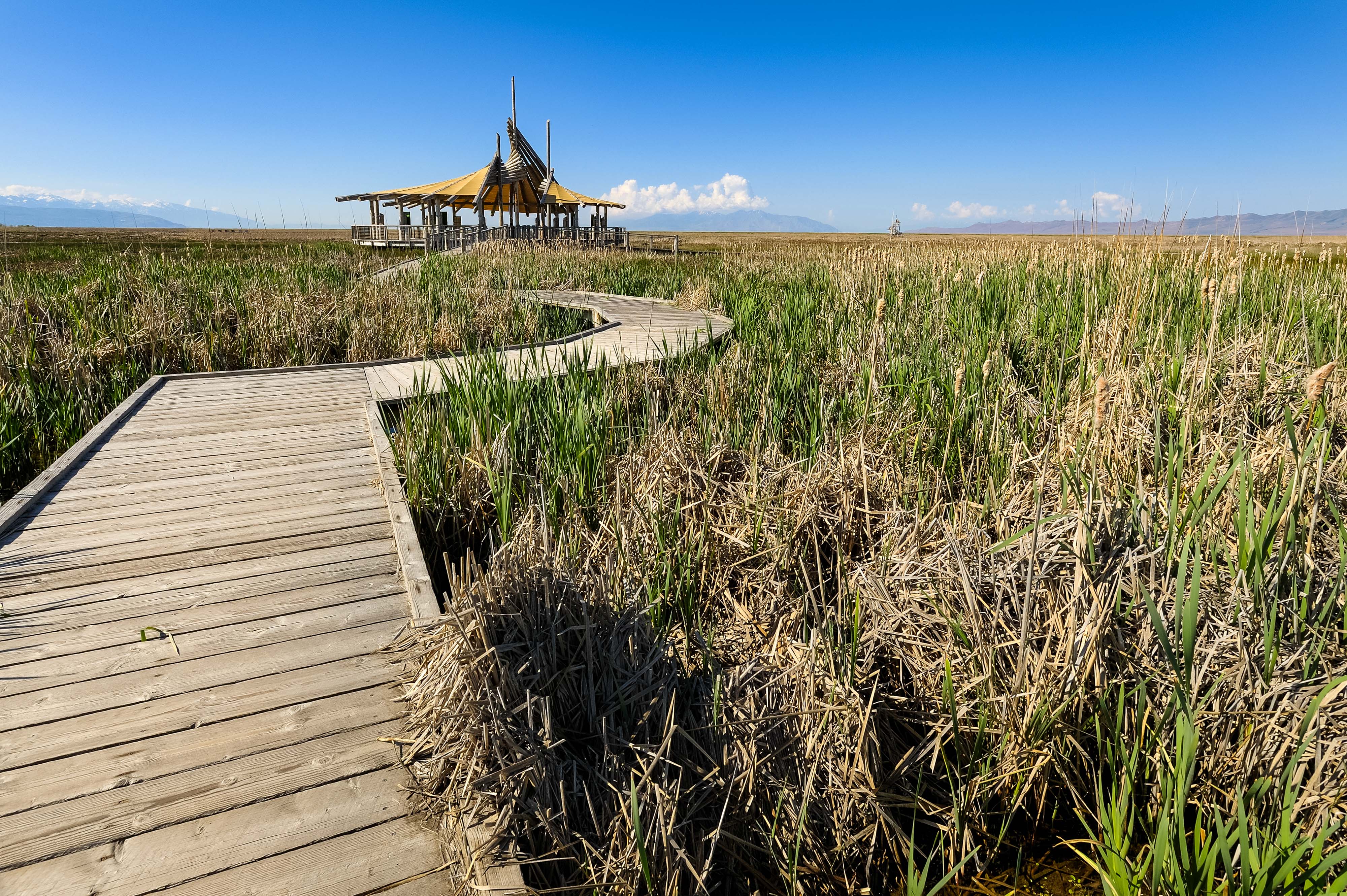 A long boardwalk through a marsh ends in a covered pavilion.