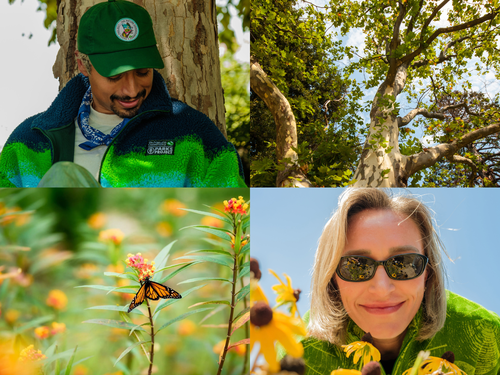 A collage of four photos, 2 from TNC's 75th anniversary special collection products from Parks Project include a hat and fleece sweater, and 2 photos of nature (a sycamore tree and a butterfly in a field of flowers).