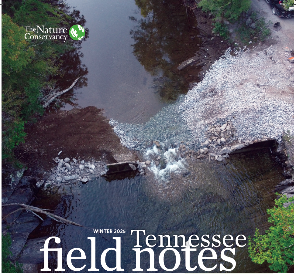 Cover of the newsletter with a dam being removed.