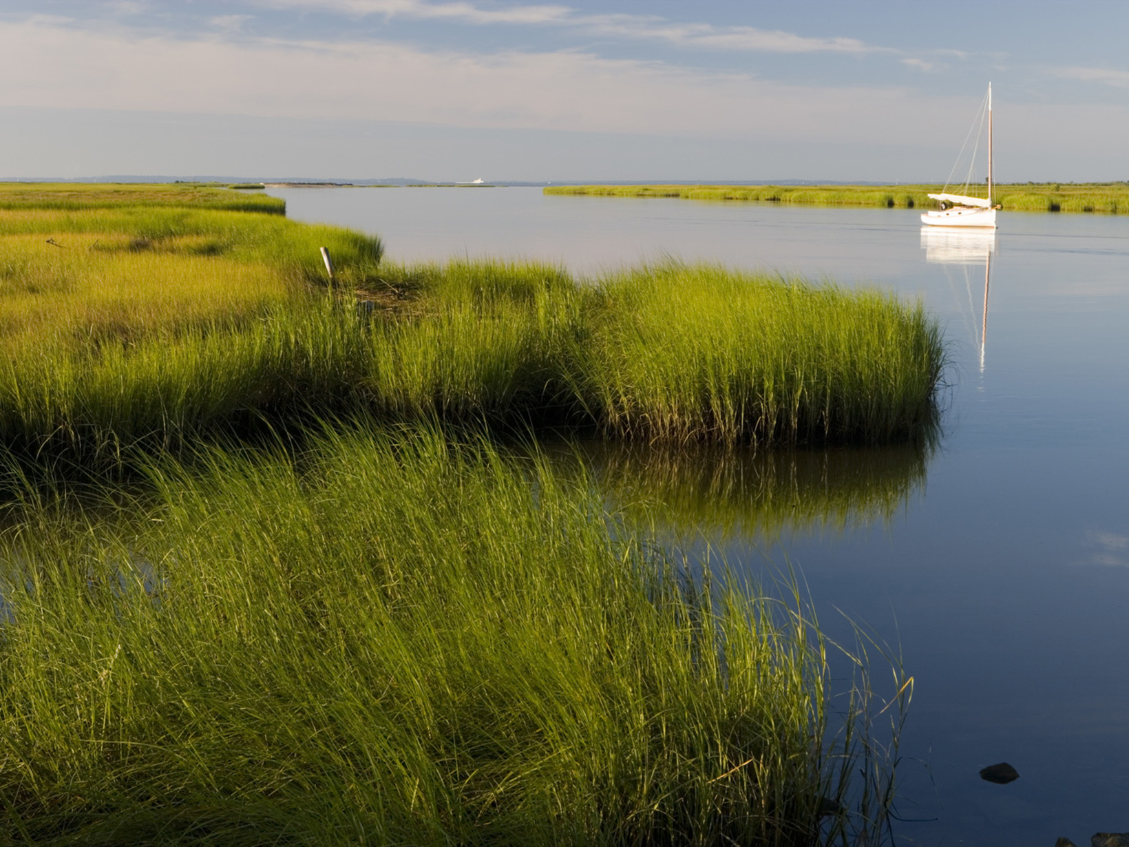 Calm, still waters interact with long, grassy wetland habitat. 