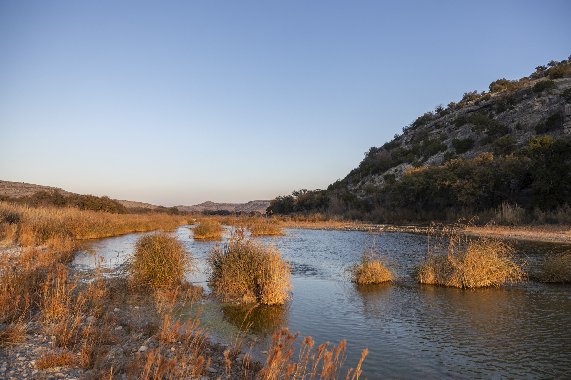 A blue river dotted with tall, orange reed-like plants.