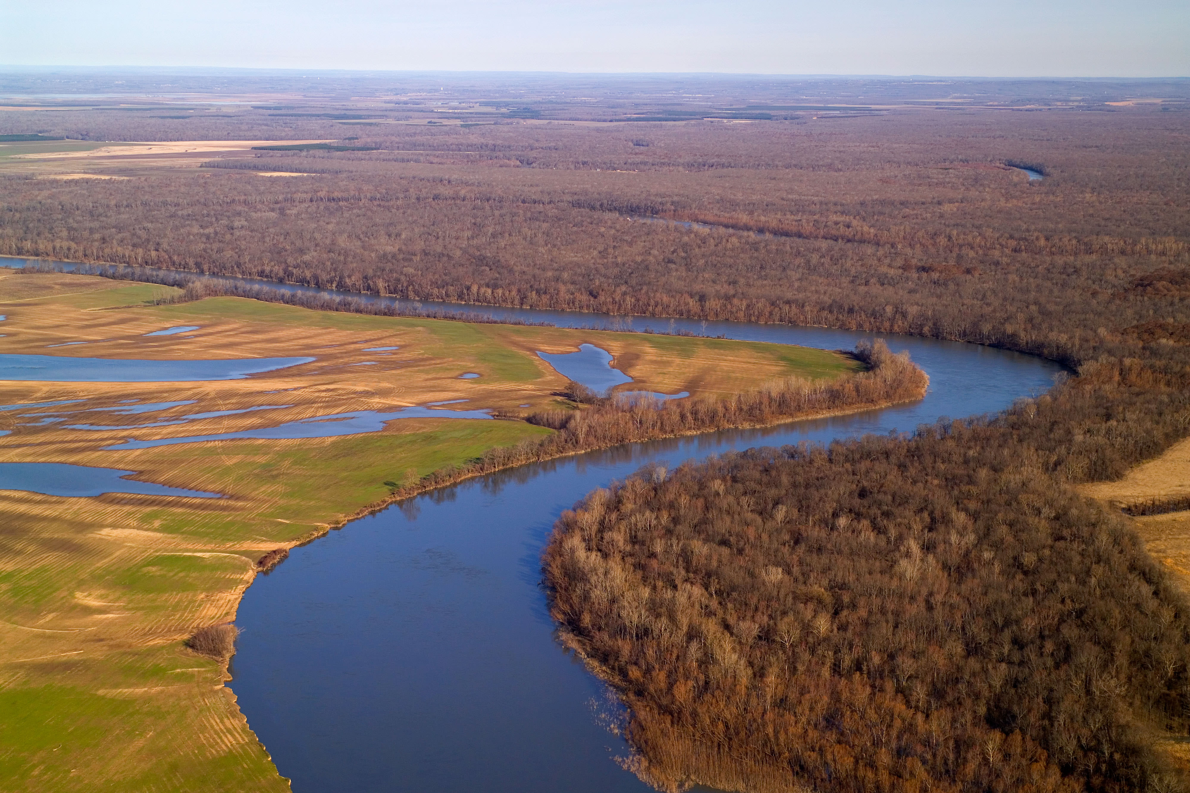 A bend in a river with fields on the left shore and forests on the right.