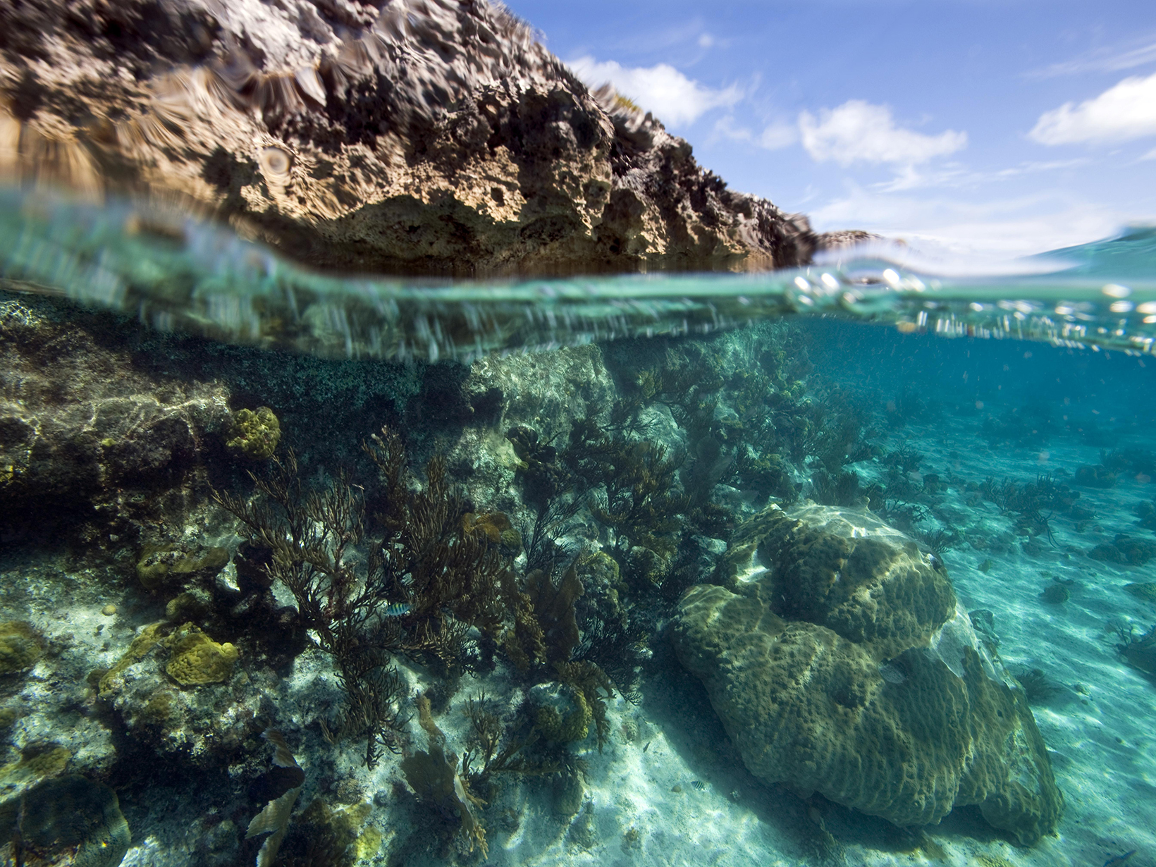 Shallow Reef and Limestone Islet. Shot in Exuma Cays Land and Sea Park, Bahamas.