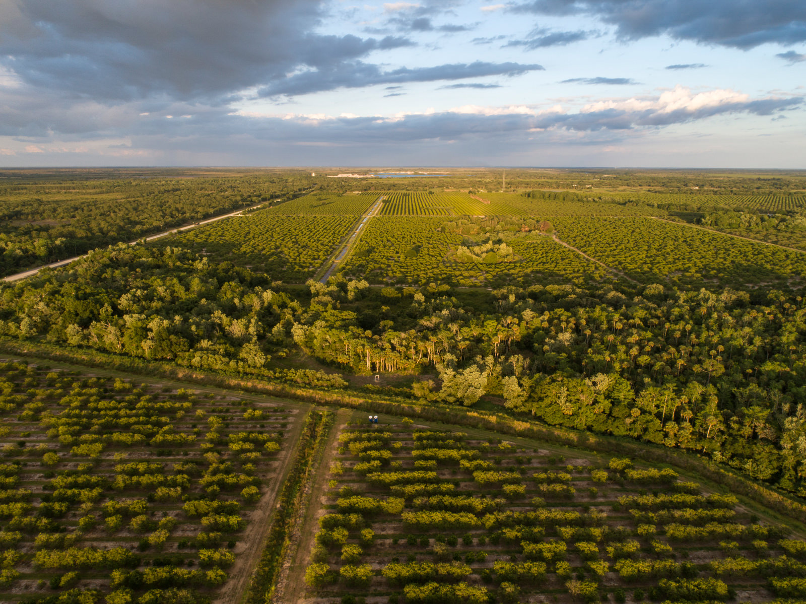 Aerial view of Cypress Creek Grove in LaBelle, Florida against a cloudy blue sky. 