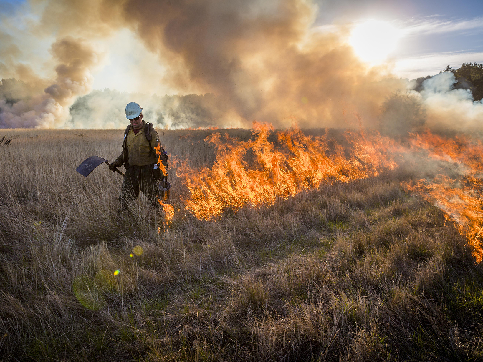 A person walking through tall grass using a drip torch to set a fire line during a controlled burn.