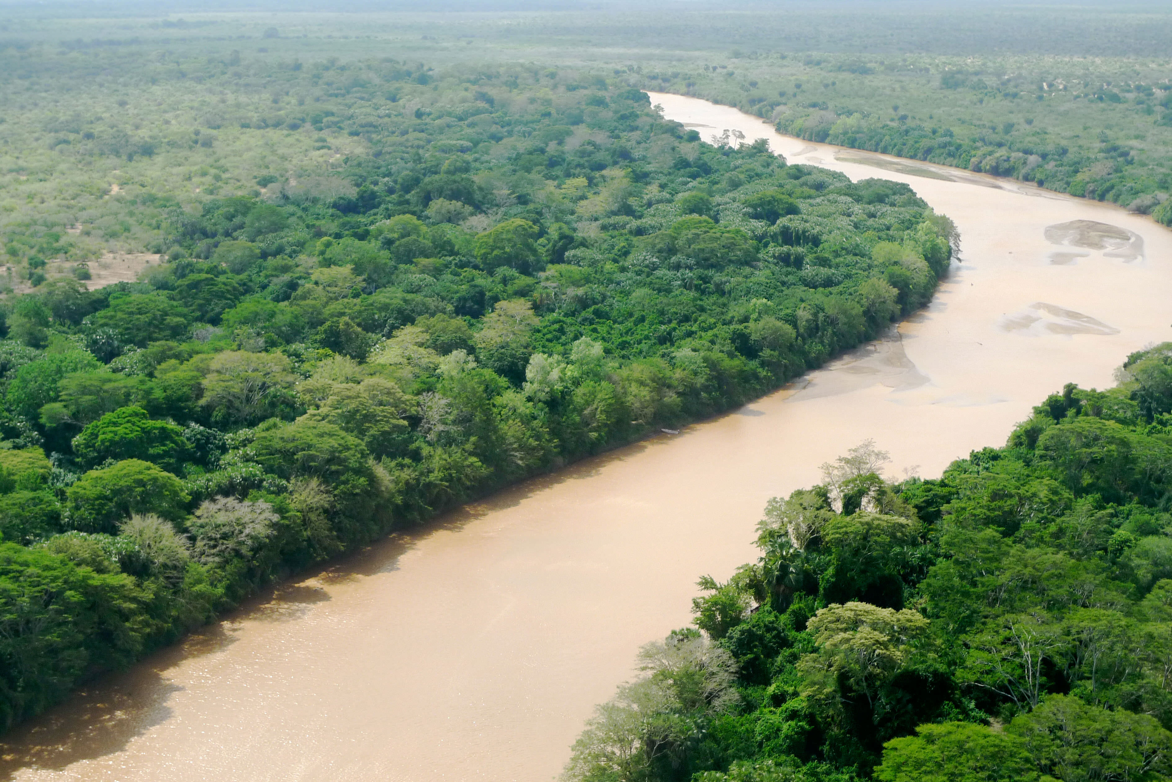 Muddy, winding river from above.