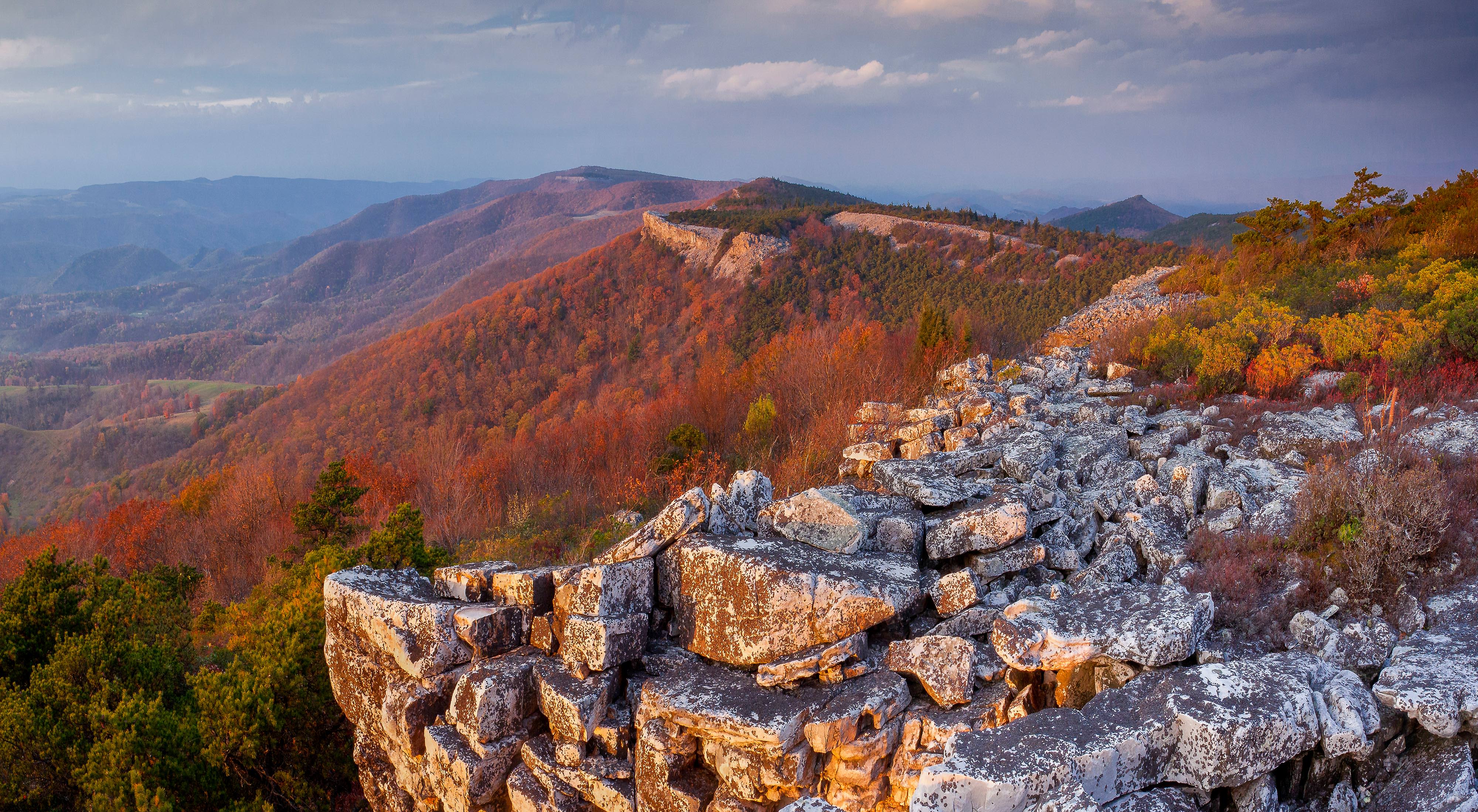 Panther Knob Preserve