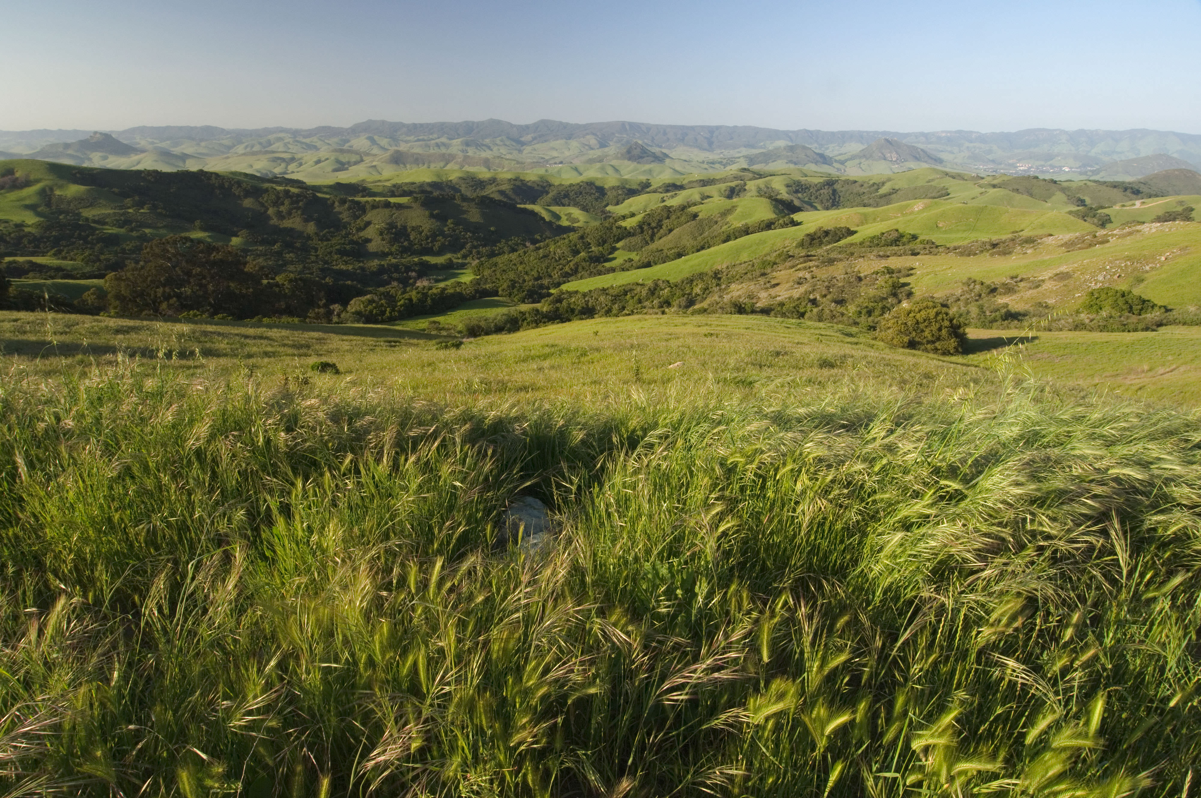 Lush green grassy hills roll towards the horizon. 