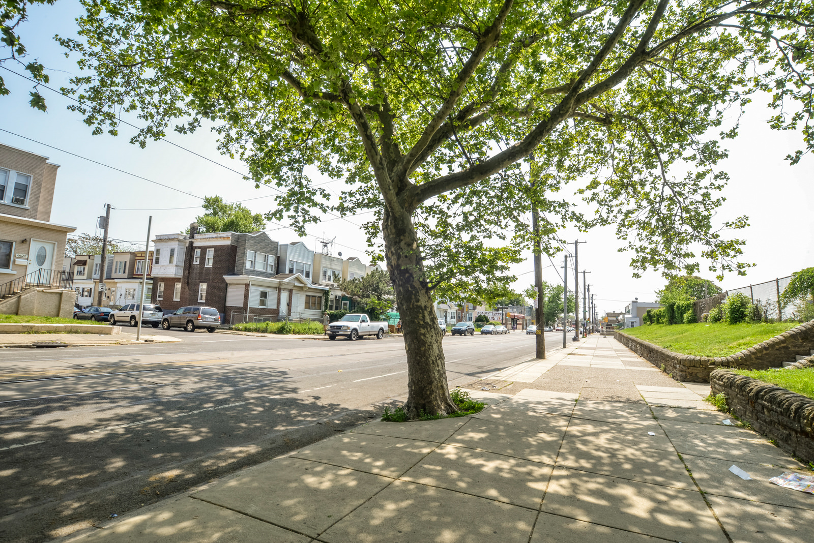 A tree grows on a city sidewalk.