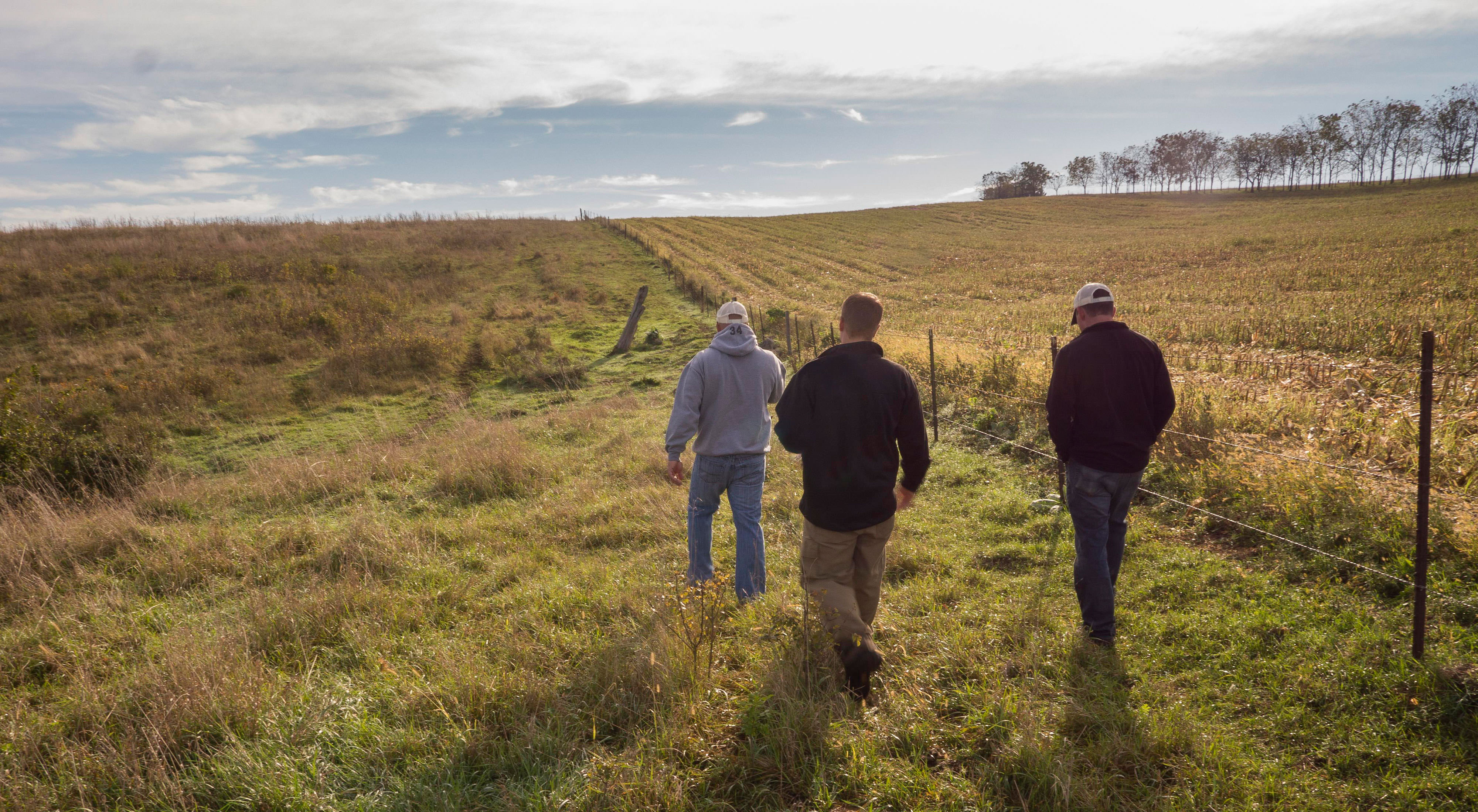 Four people walk away from camera in a field, with another field beside them, fencing in between.