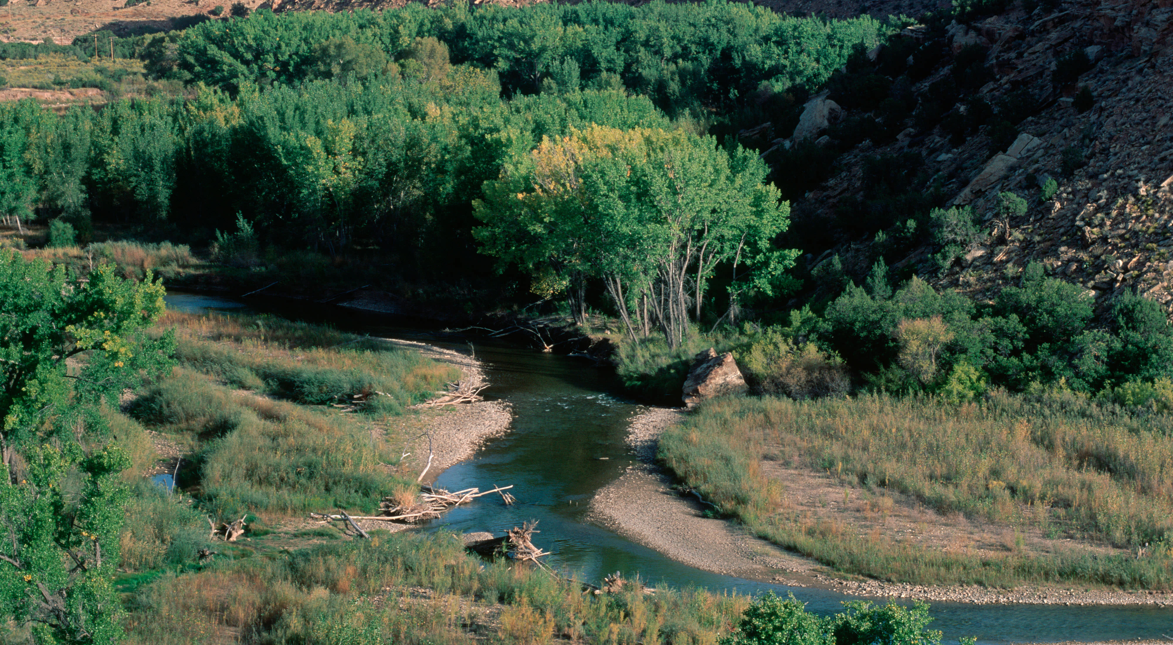 A river meandering through trees and sandy, grassy banks.