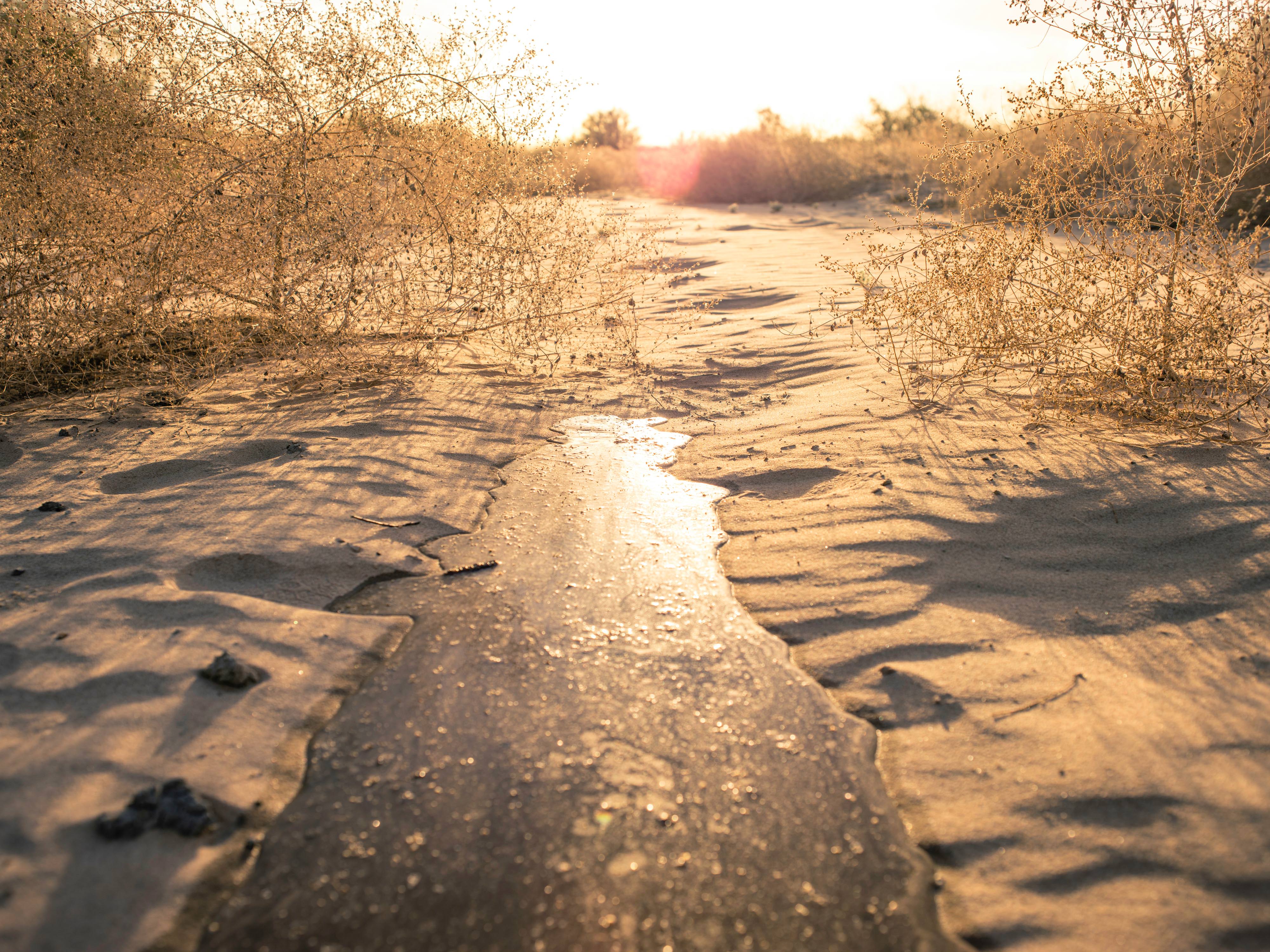Water trickles forward along dry riverbed.