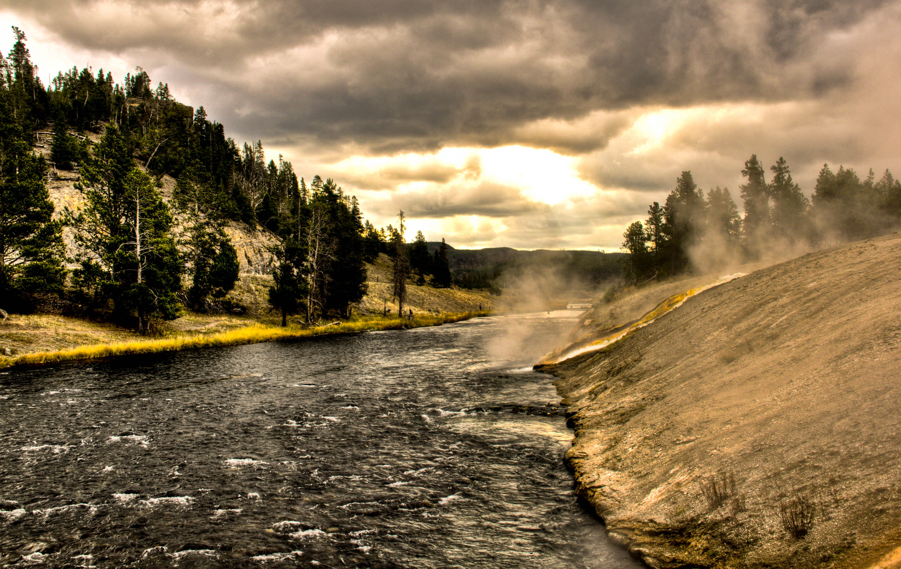 Overcast river's edge in Yellowstone National Park.