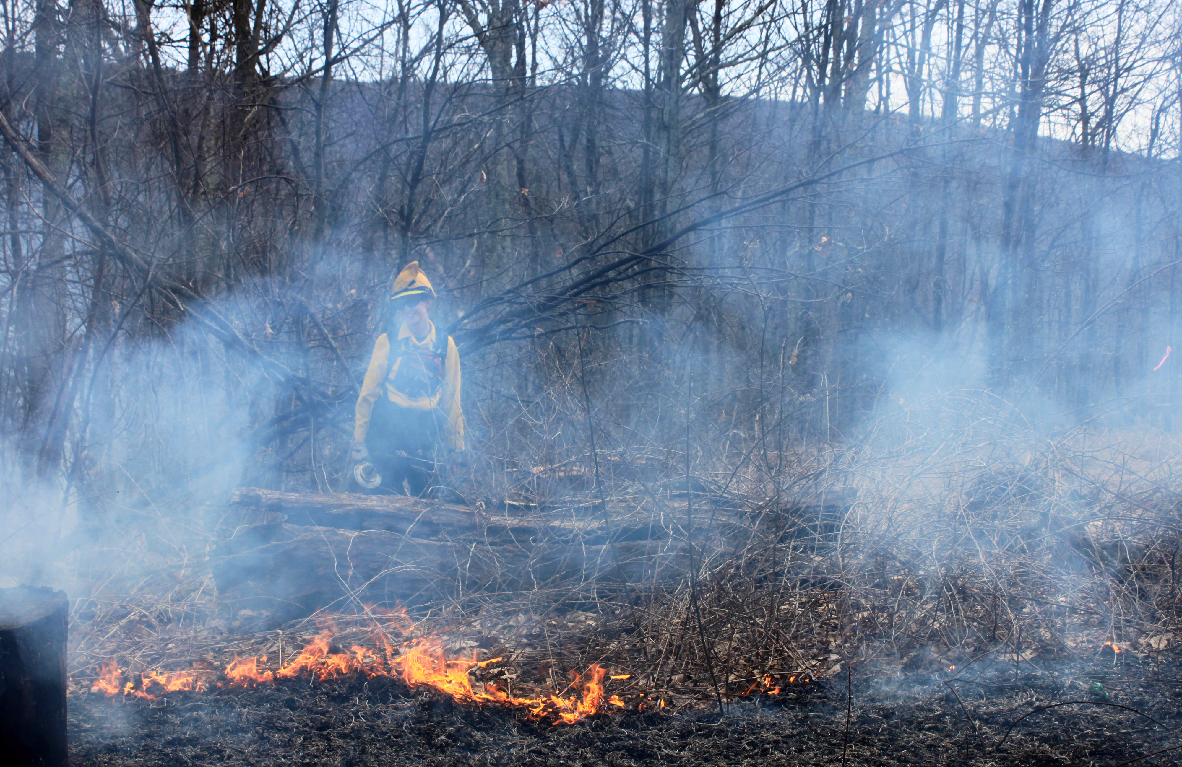 A women wearing yellow fire retardant gear monitors a small fire during a controlled burn. Smoke rises around her almost obscuring her from view.