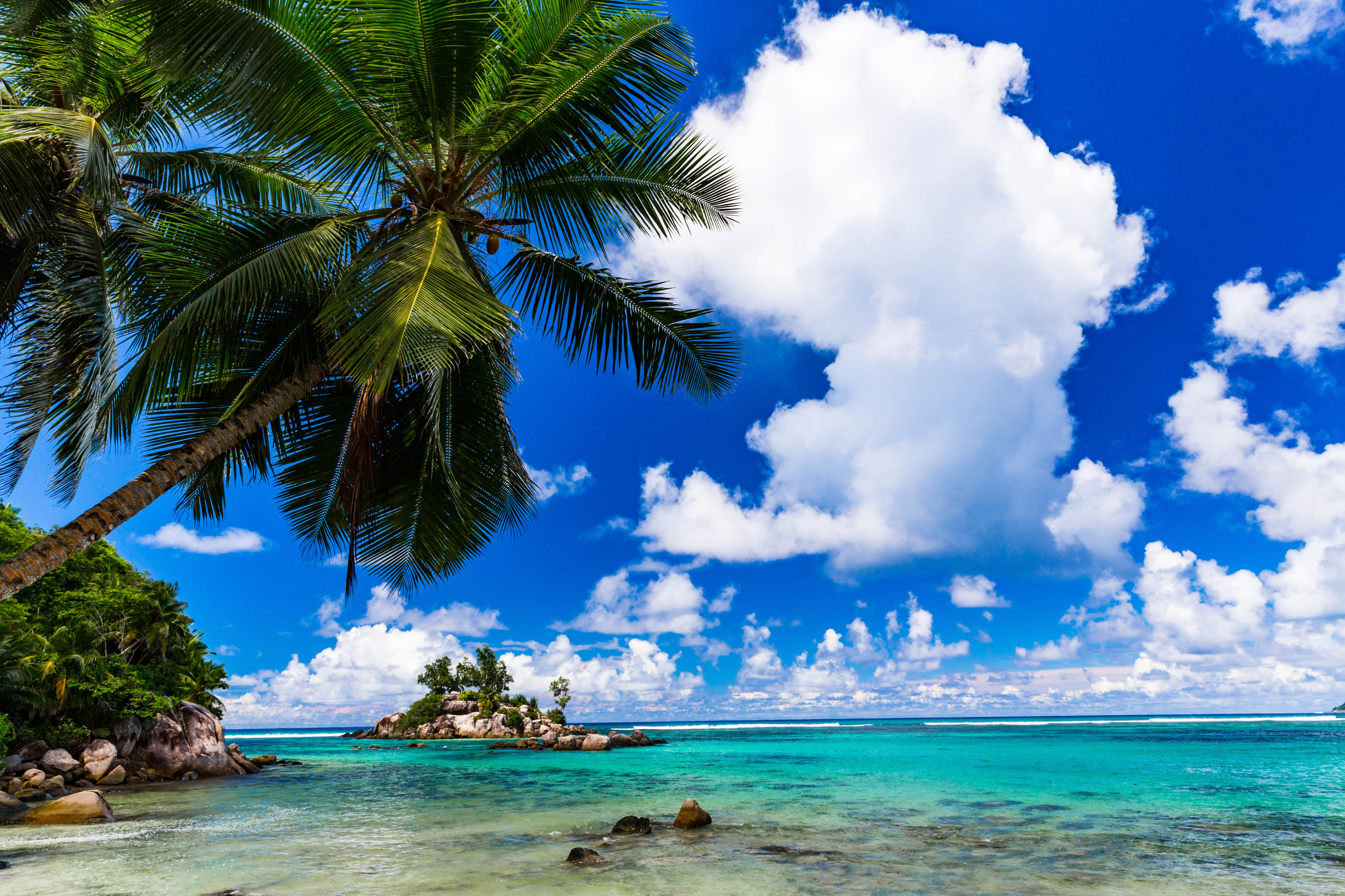 tropical beach