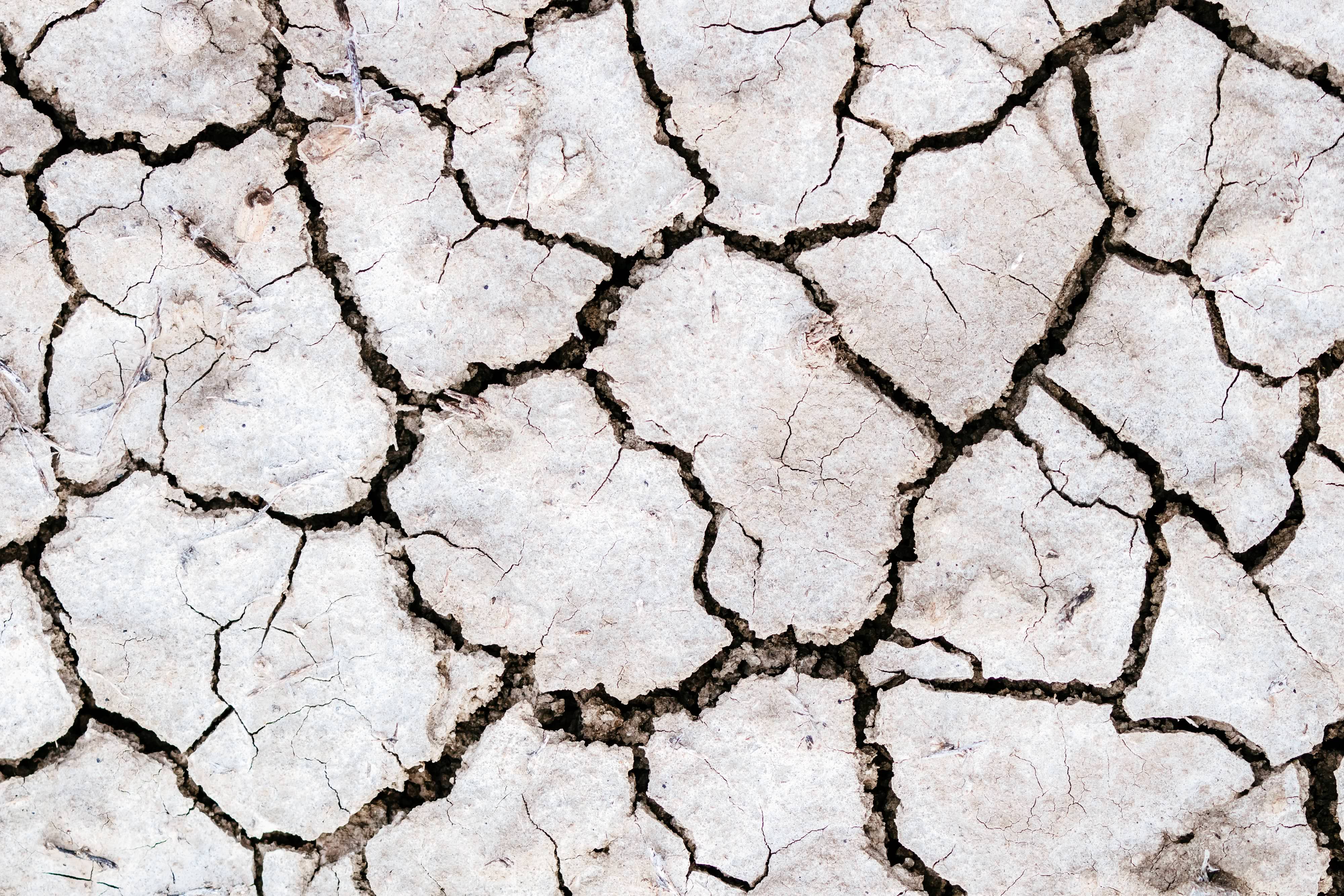 Overhead view of cracked, dry earth.