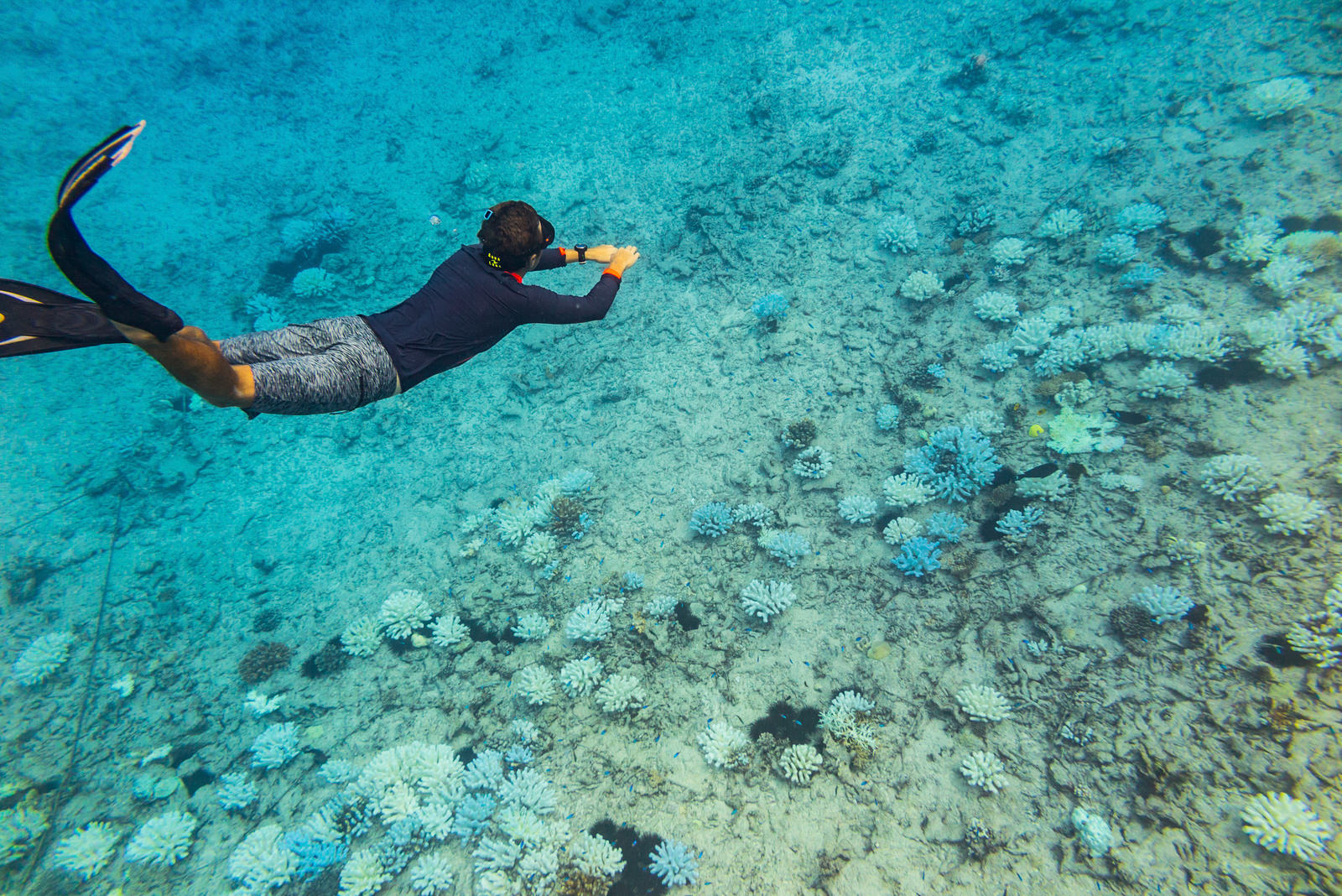 person snorkeling in clear blue water 