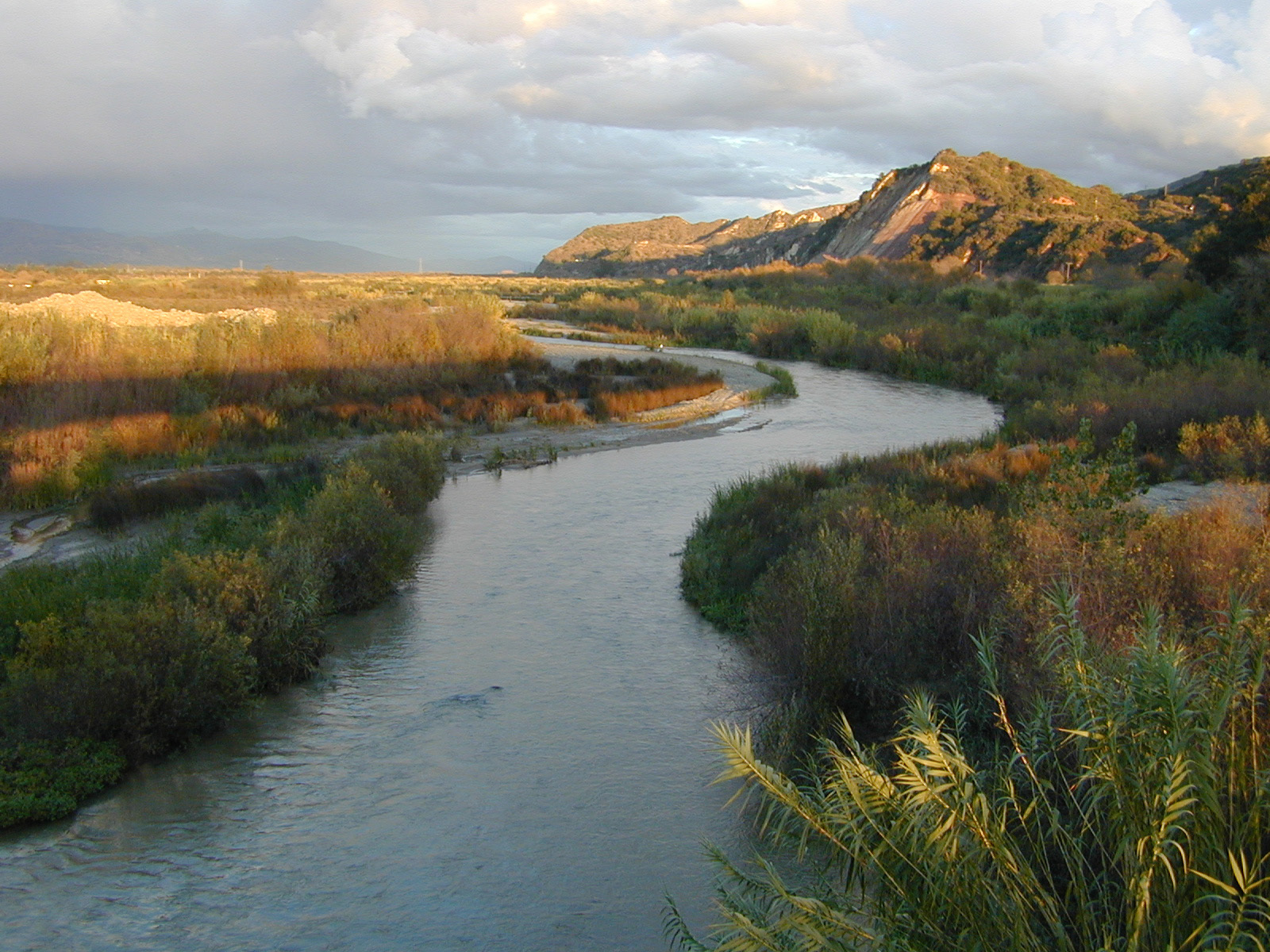 The Santa Clara River winds through a scrubby, tree-filled landscape with a mountain in the background.