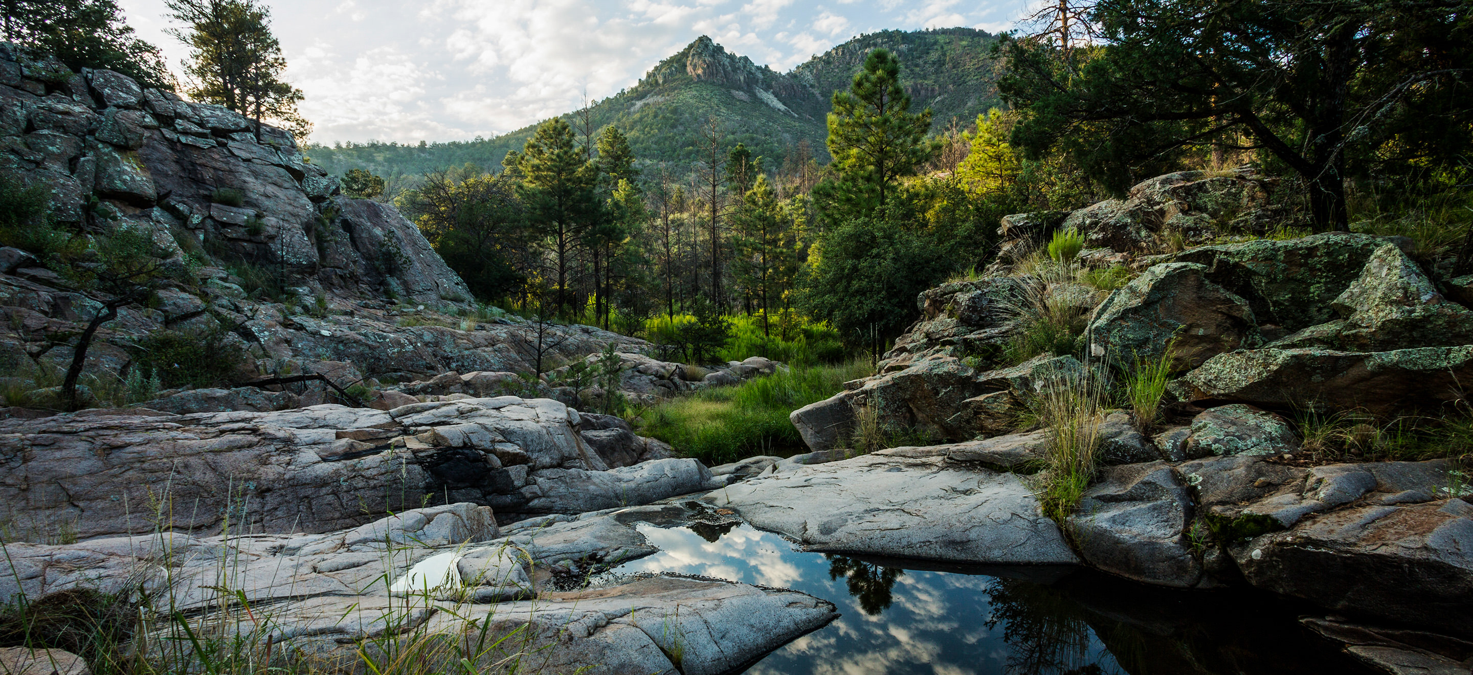 Rocky outcrops with forested mountains in the distance.