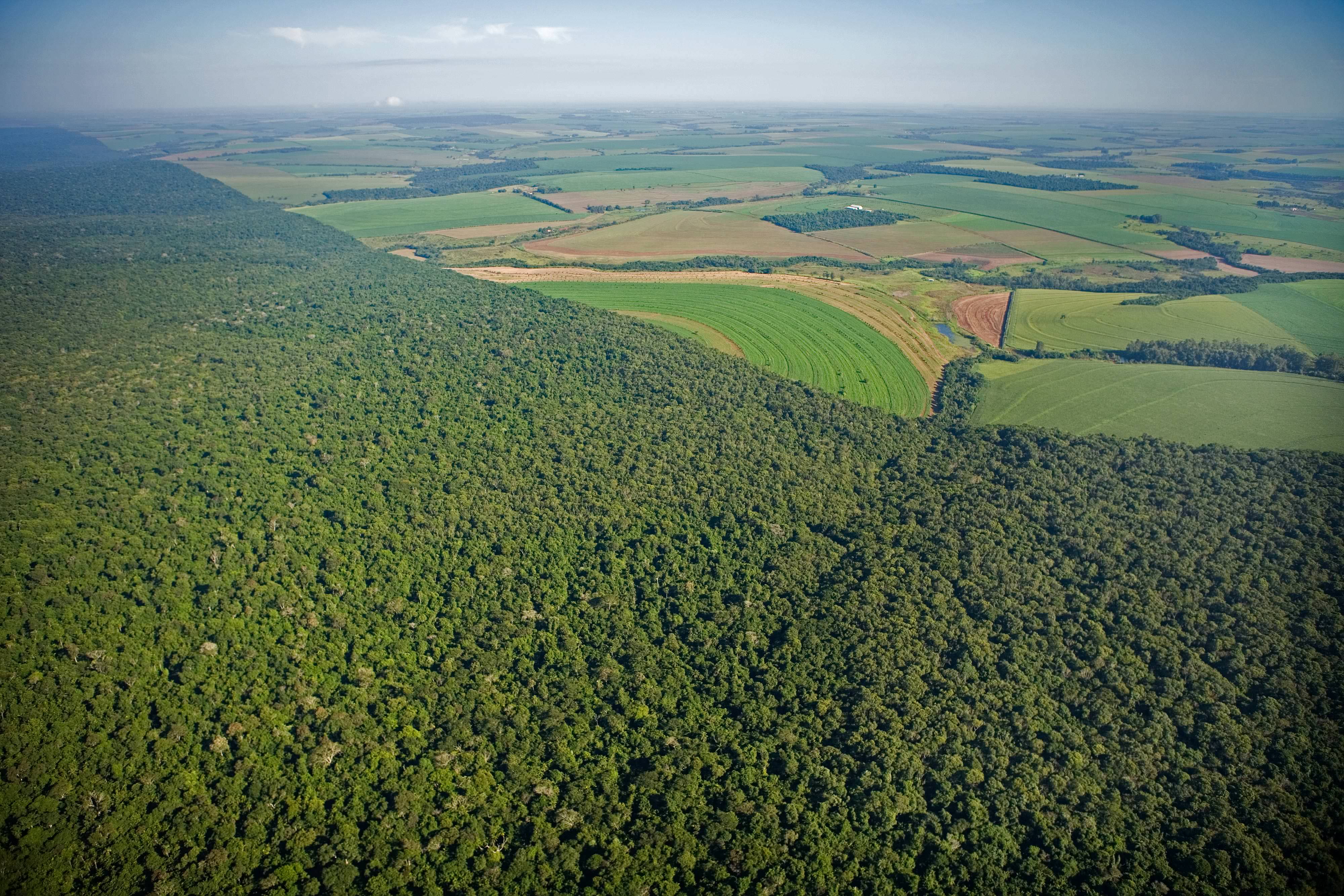 Aerial view of forests in foreground and agricultural fields in the background.