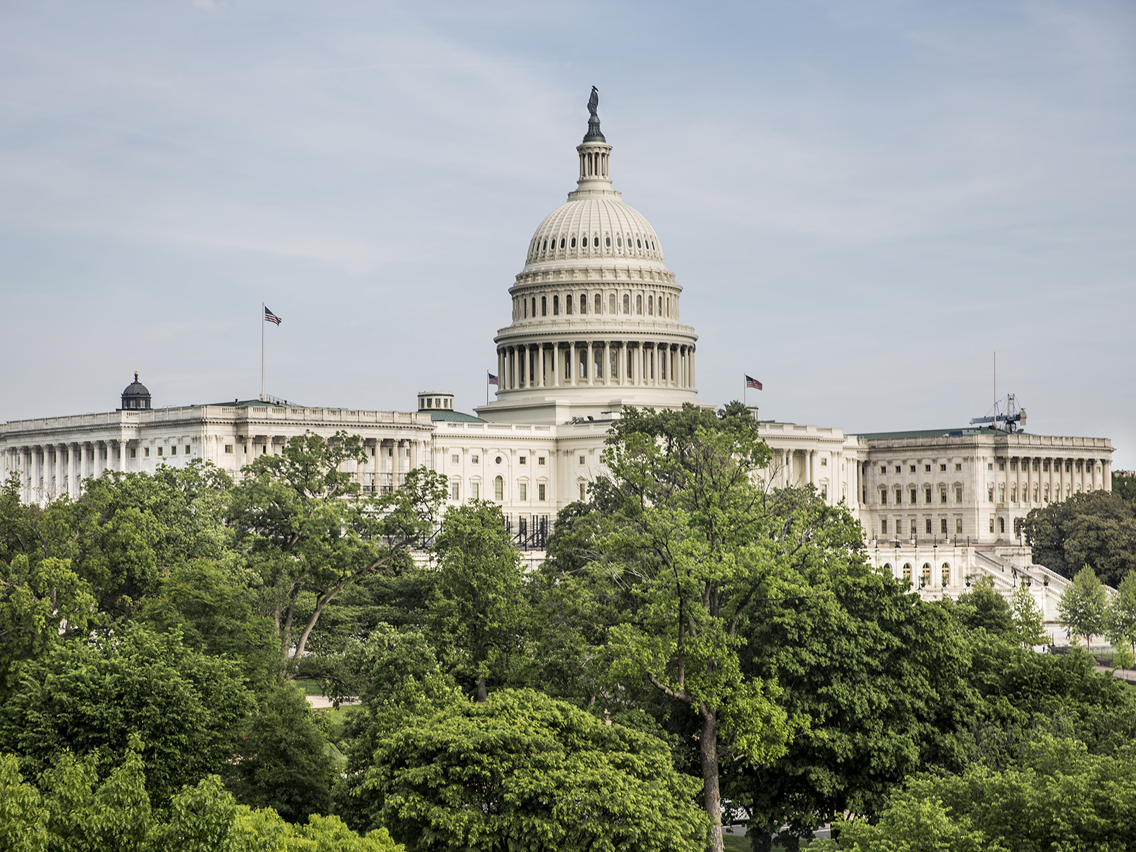 United States Capitol Building pictured with trees in foreground.