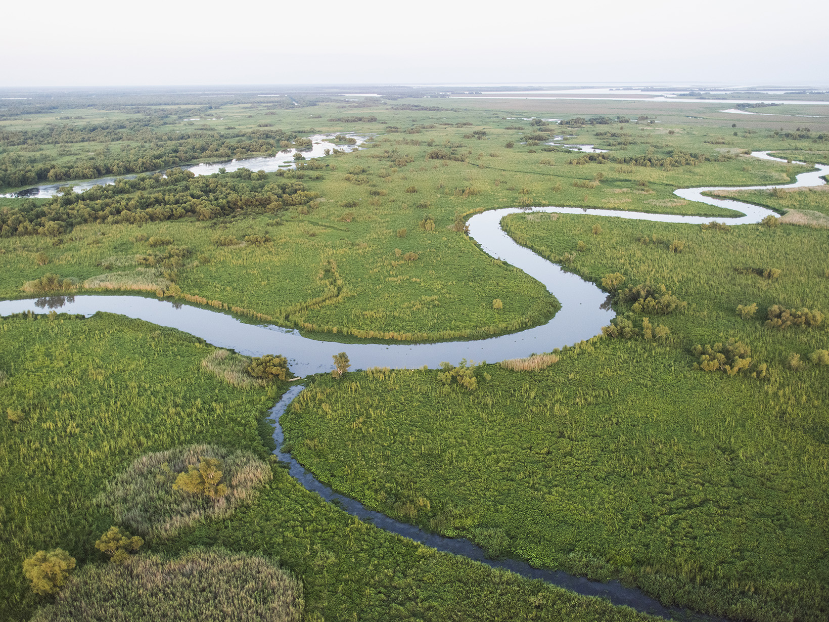 River bend in marsh