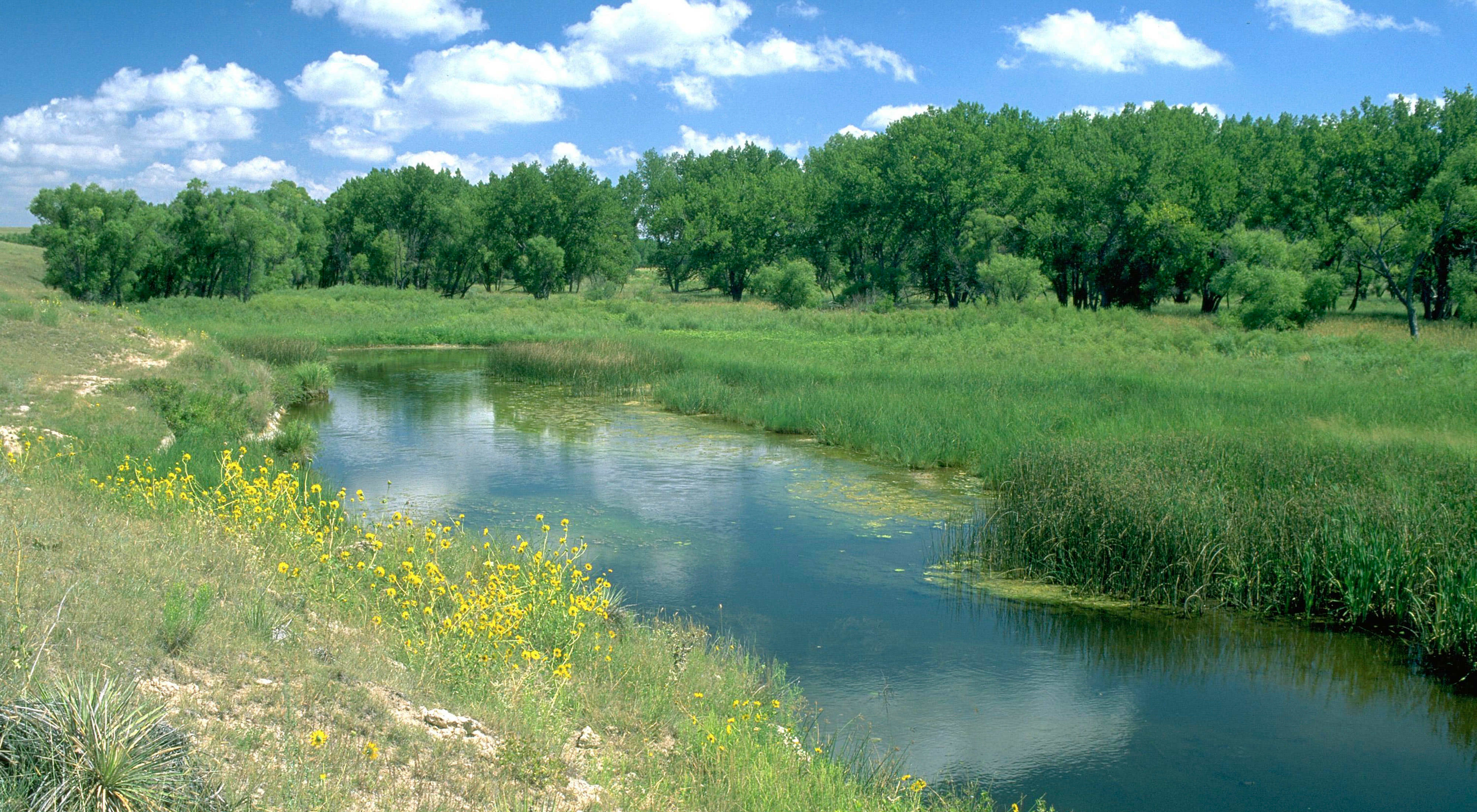 Fox Ranch in Colorado