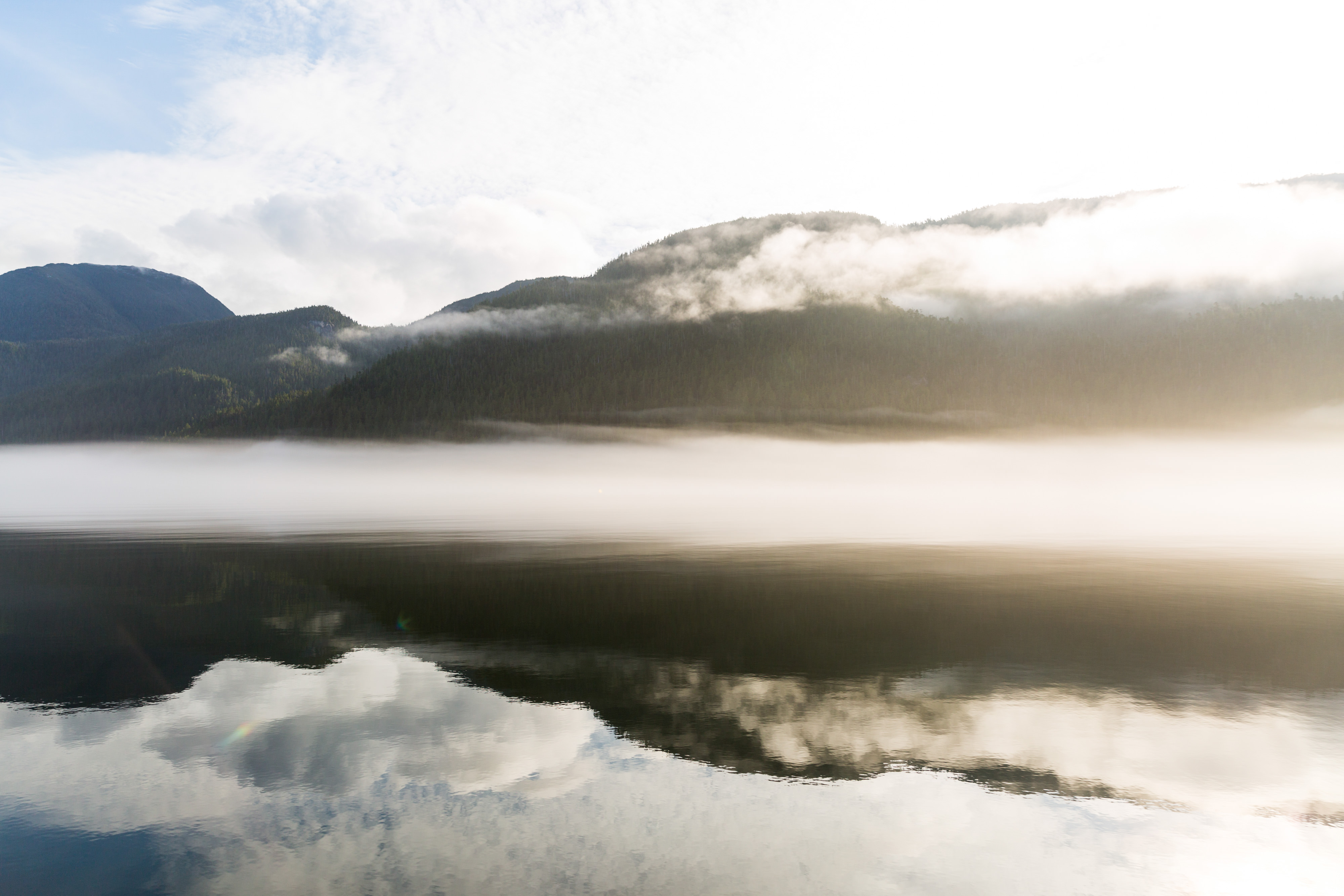 Great Bear Rainforest