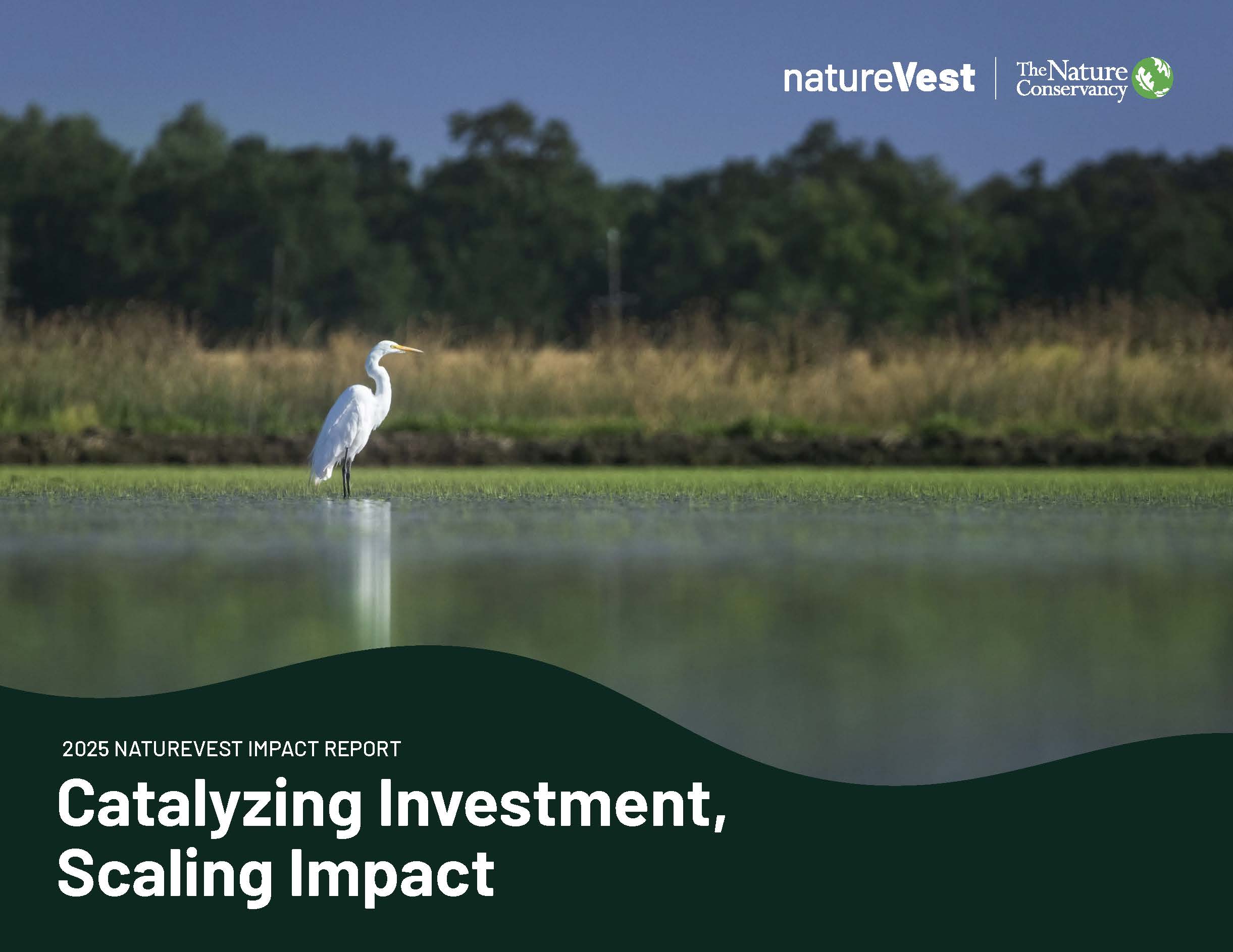 2025 NatureVest Impact Report cover.