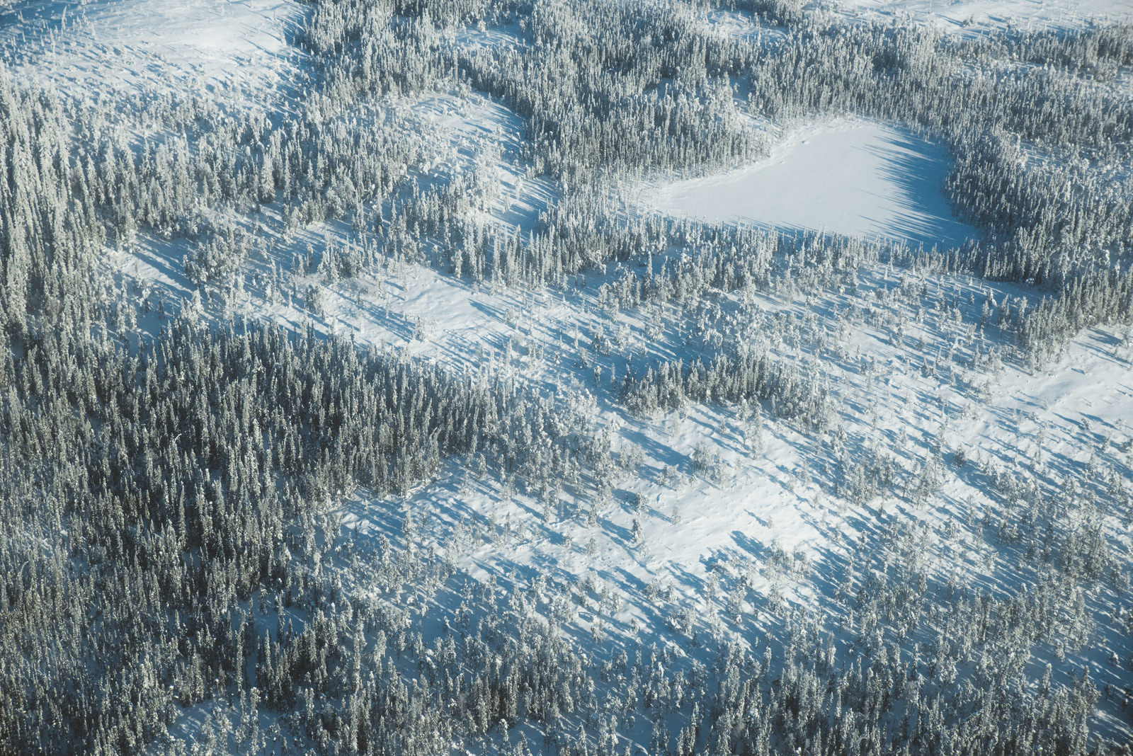 an aerial view of a snow covered forest landscape