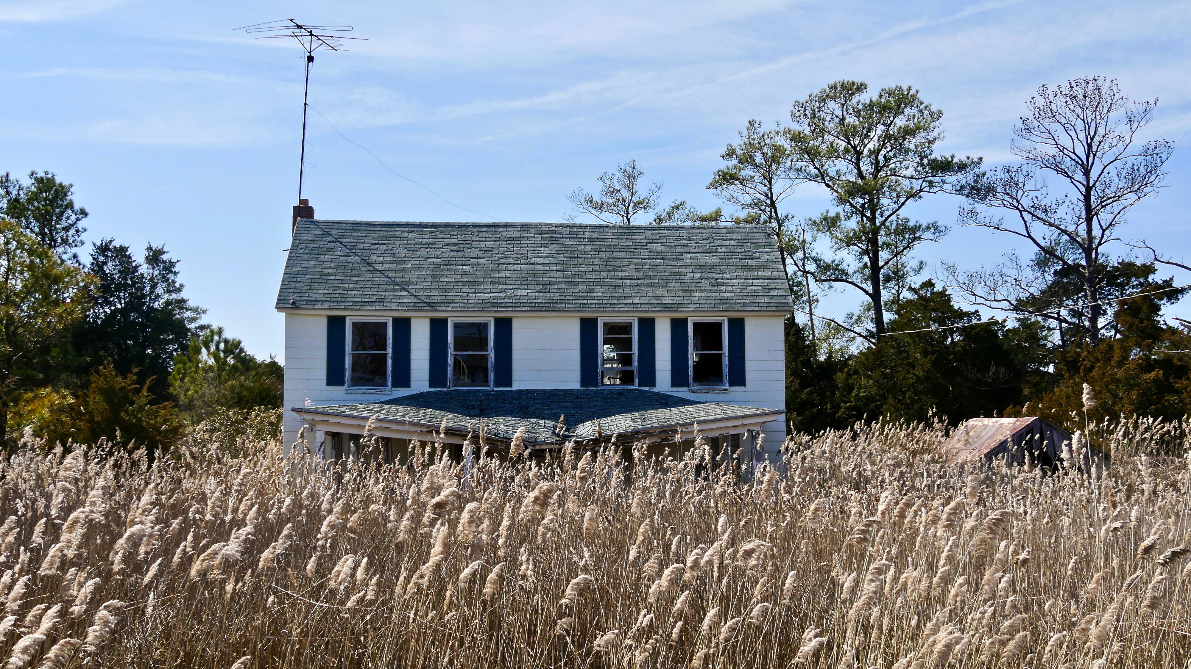 An abandoned house sits partially hidden by tall marsh grass. The windows are broken out and the porch roof is sagging in the middle.