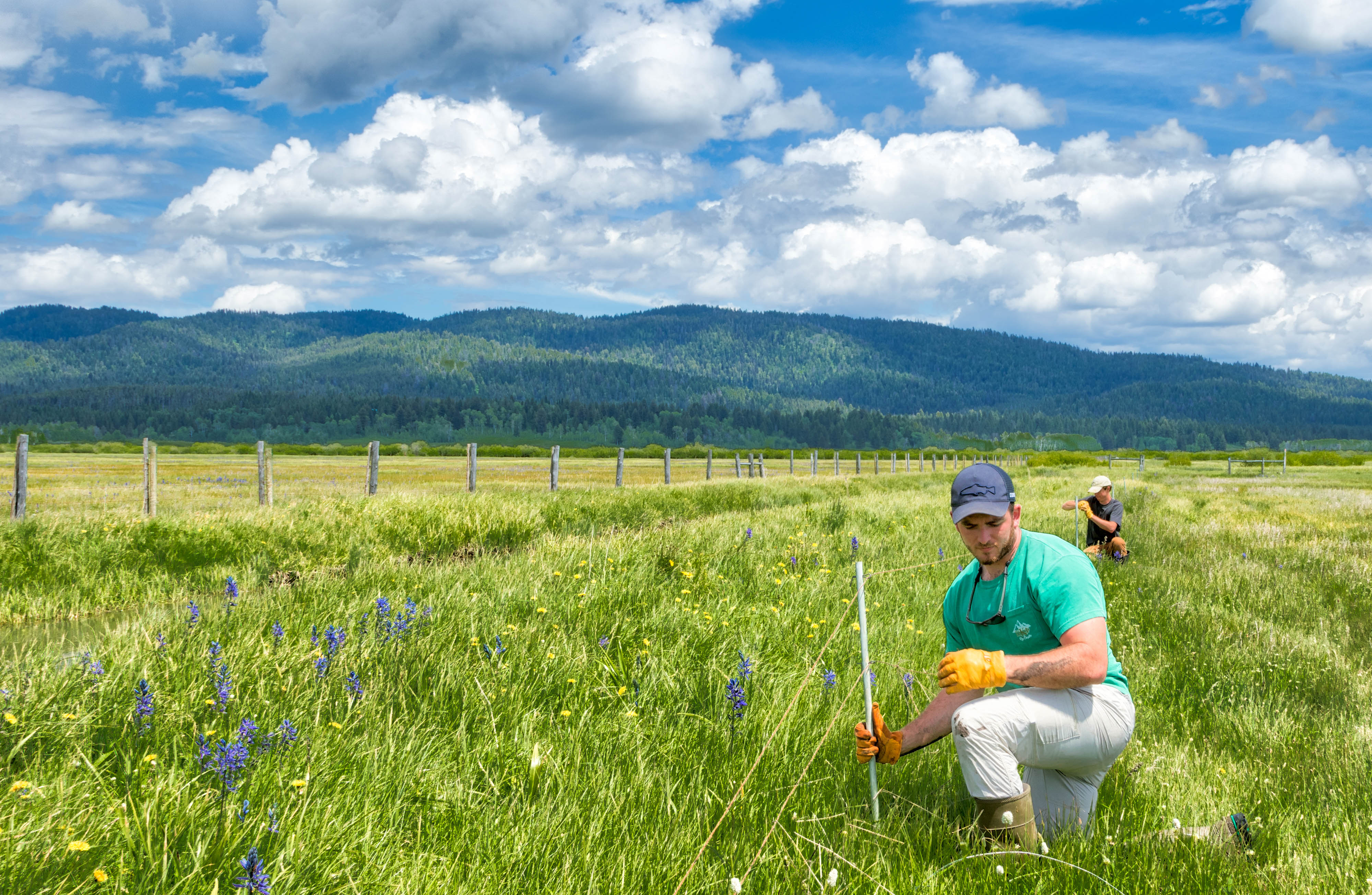 Two people kneel in a field while working on a fence line.