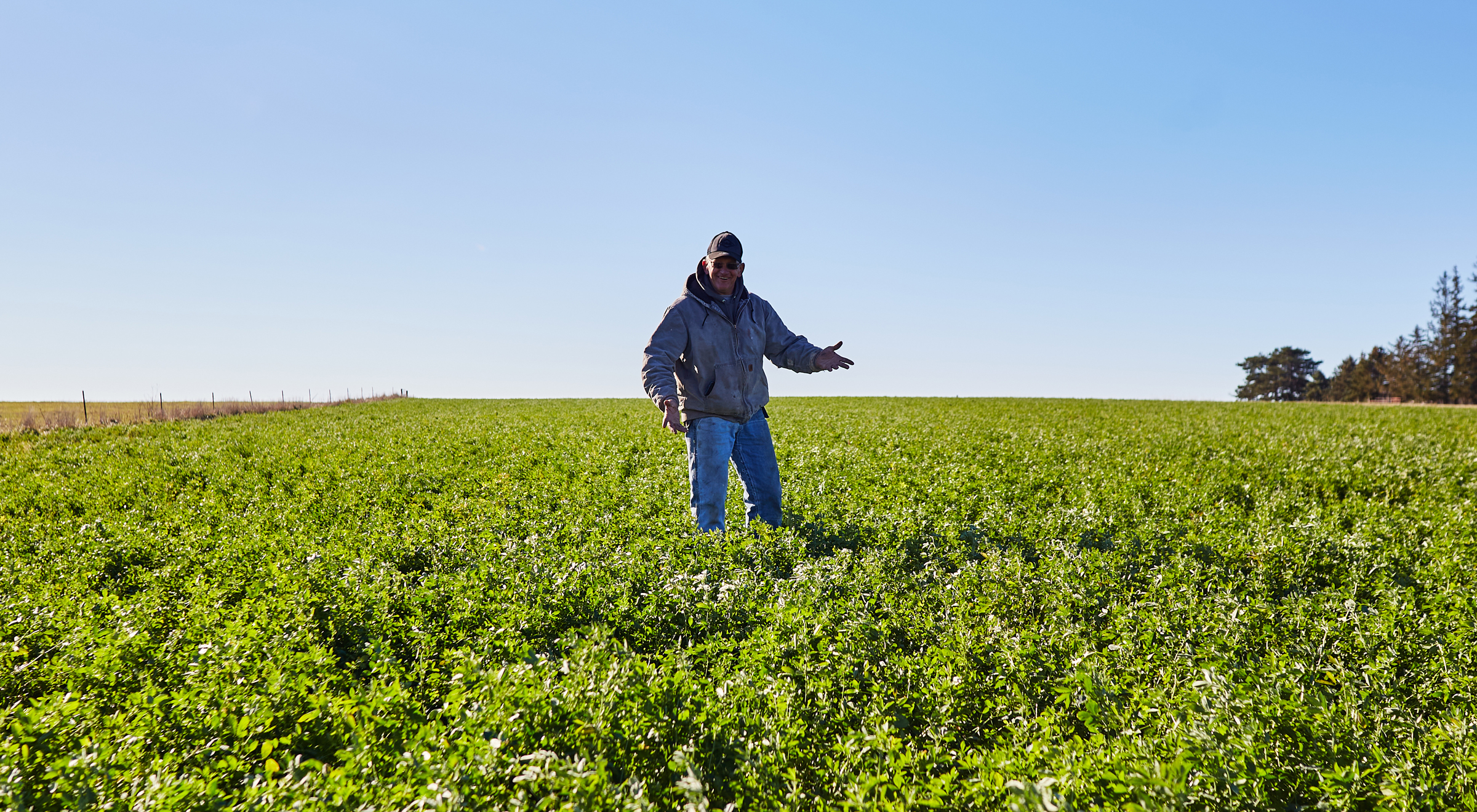 A proud farmer shows off his cover crops.