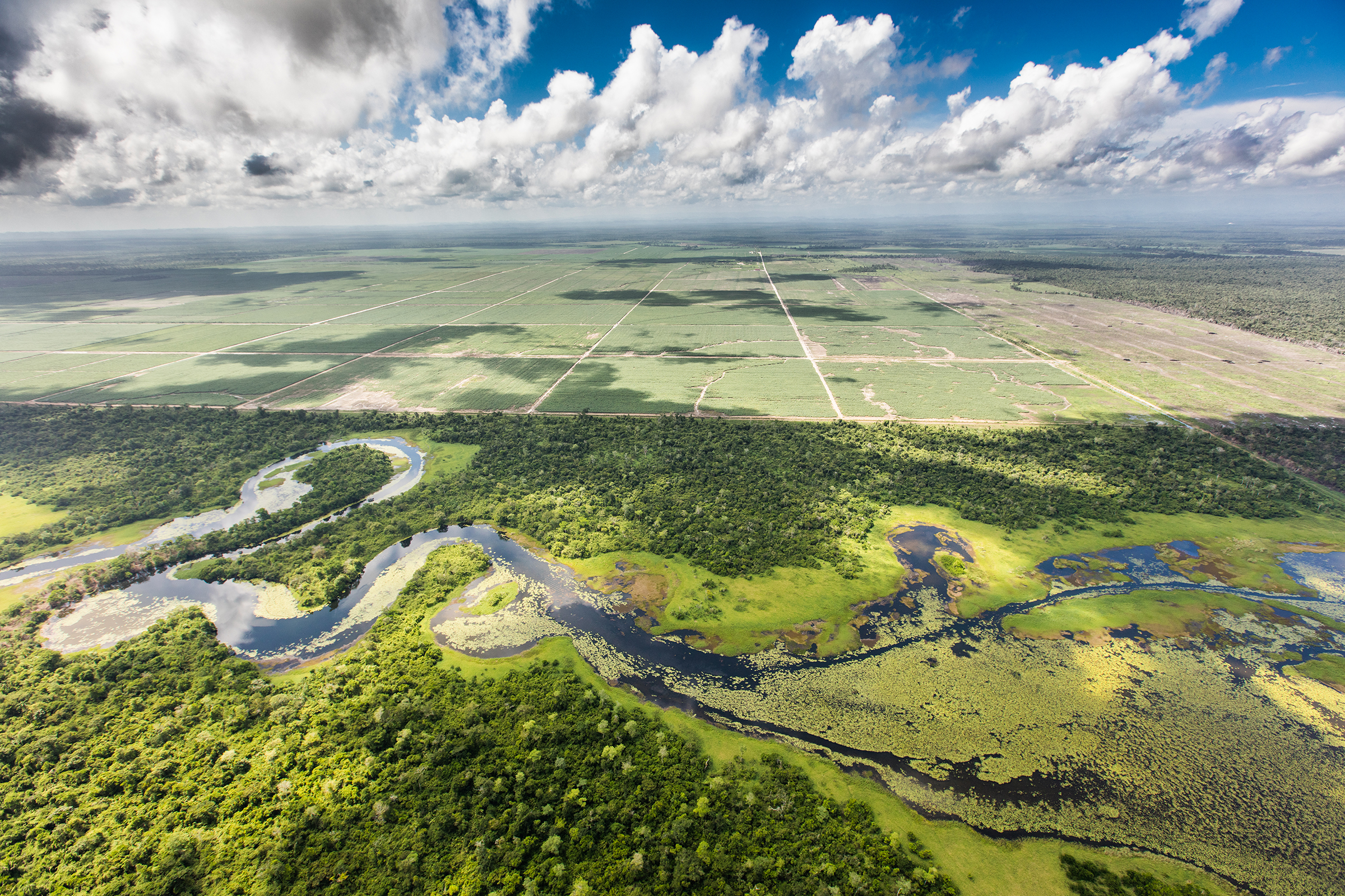 An aerial view of where farms meet the Maya Forest in Belize.