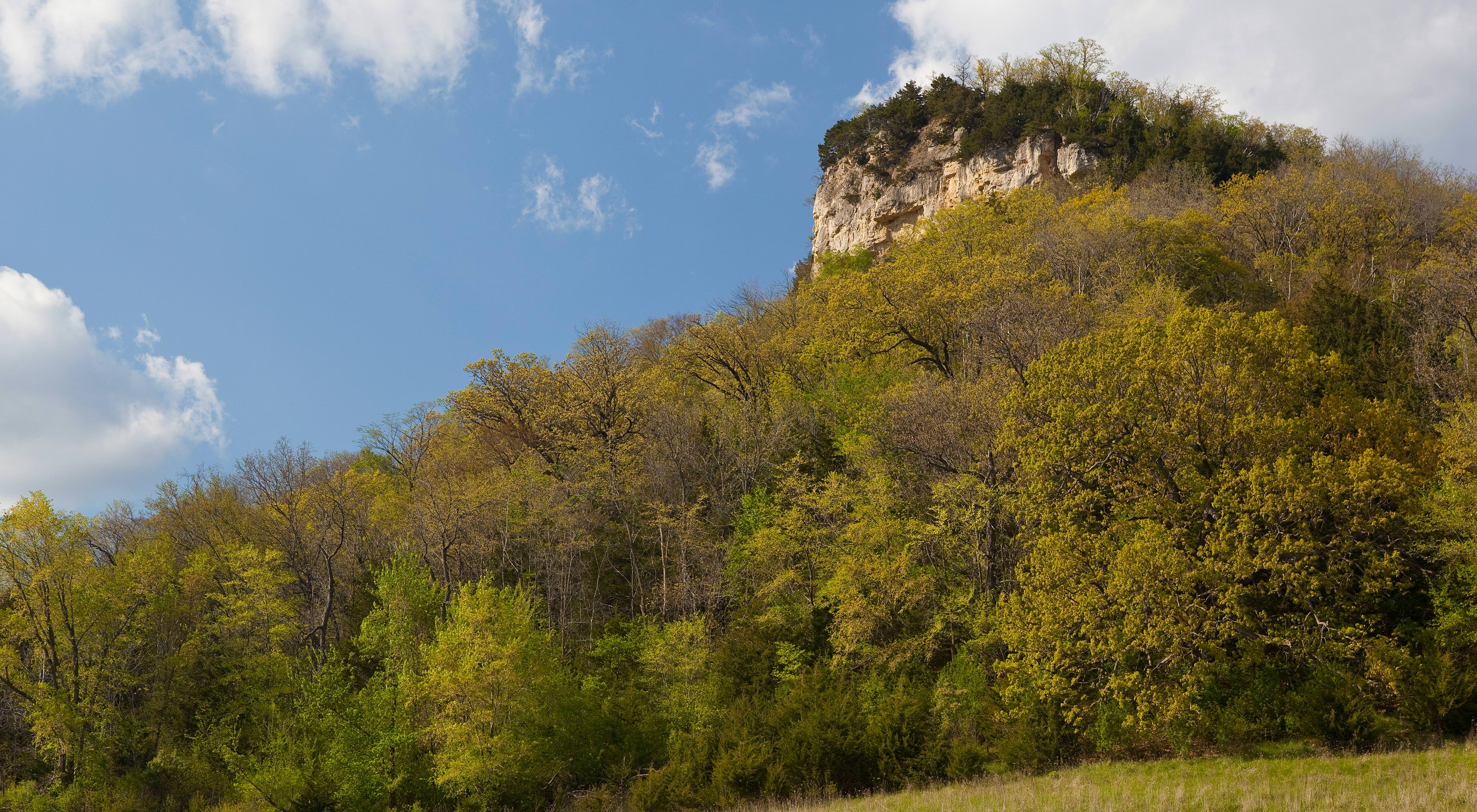 Lower Chippewa River State Natural Area - TNC Addition