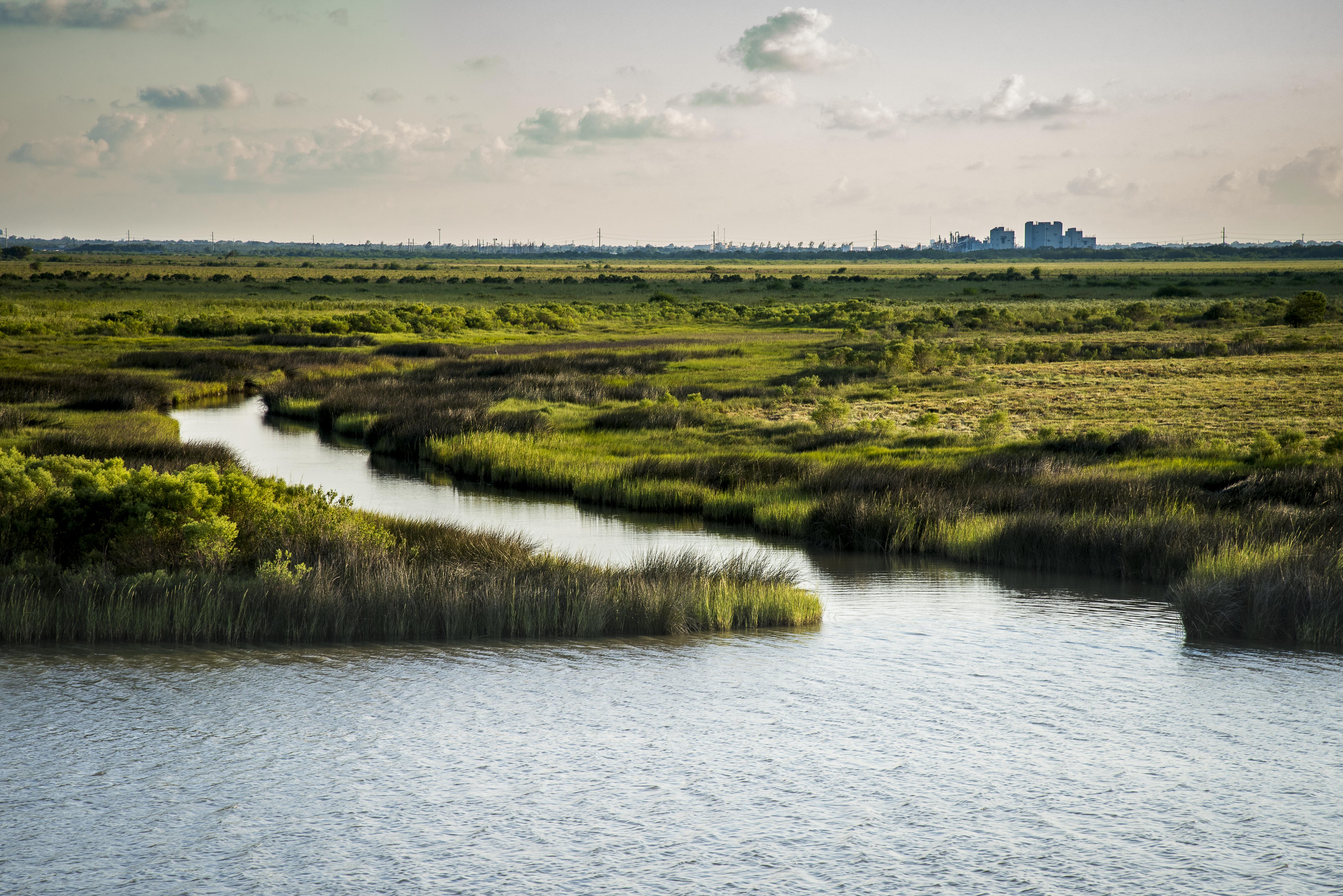 Bay waters cut through green, lush marsh habitat; a series of industrial buildings are visible in the distance.