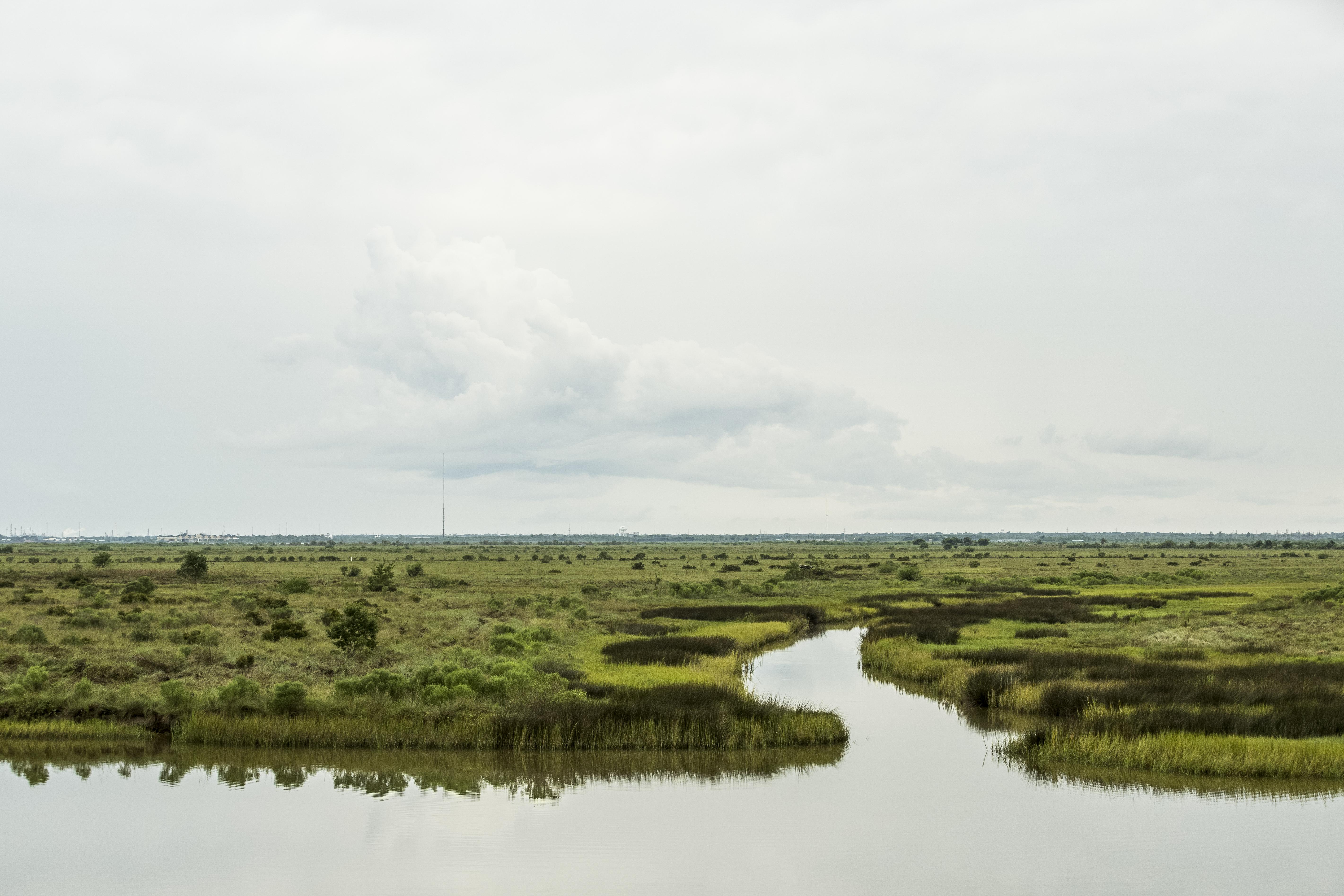 Clear coastal waters fill an inlet along expansive green prairie and wetlands.