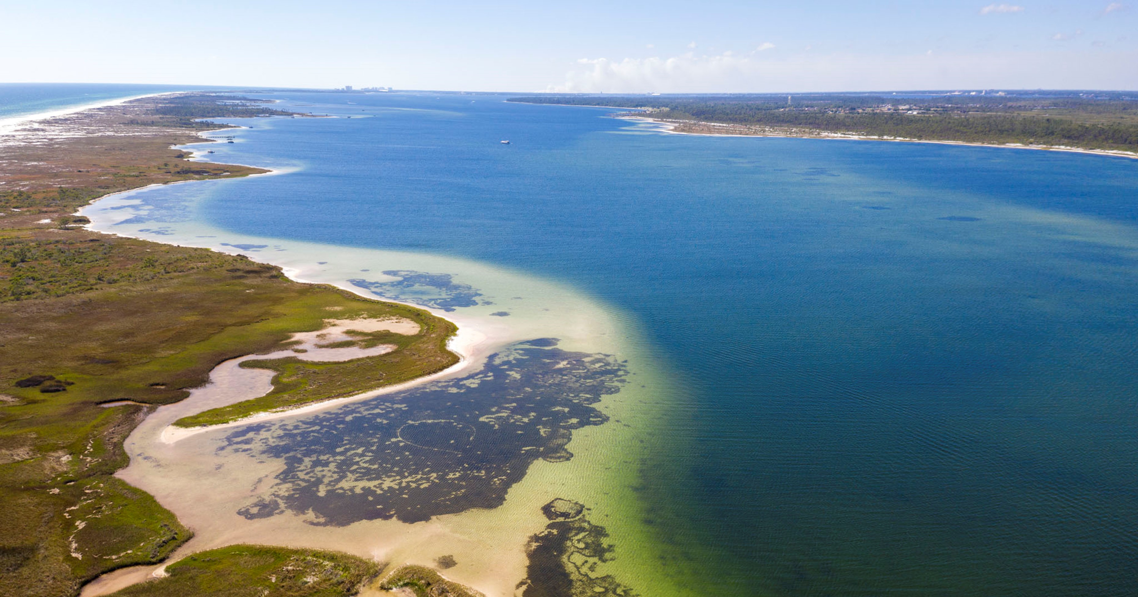 A shallow coastal area on the Tyndall peninsula showing oyster reefs.