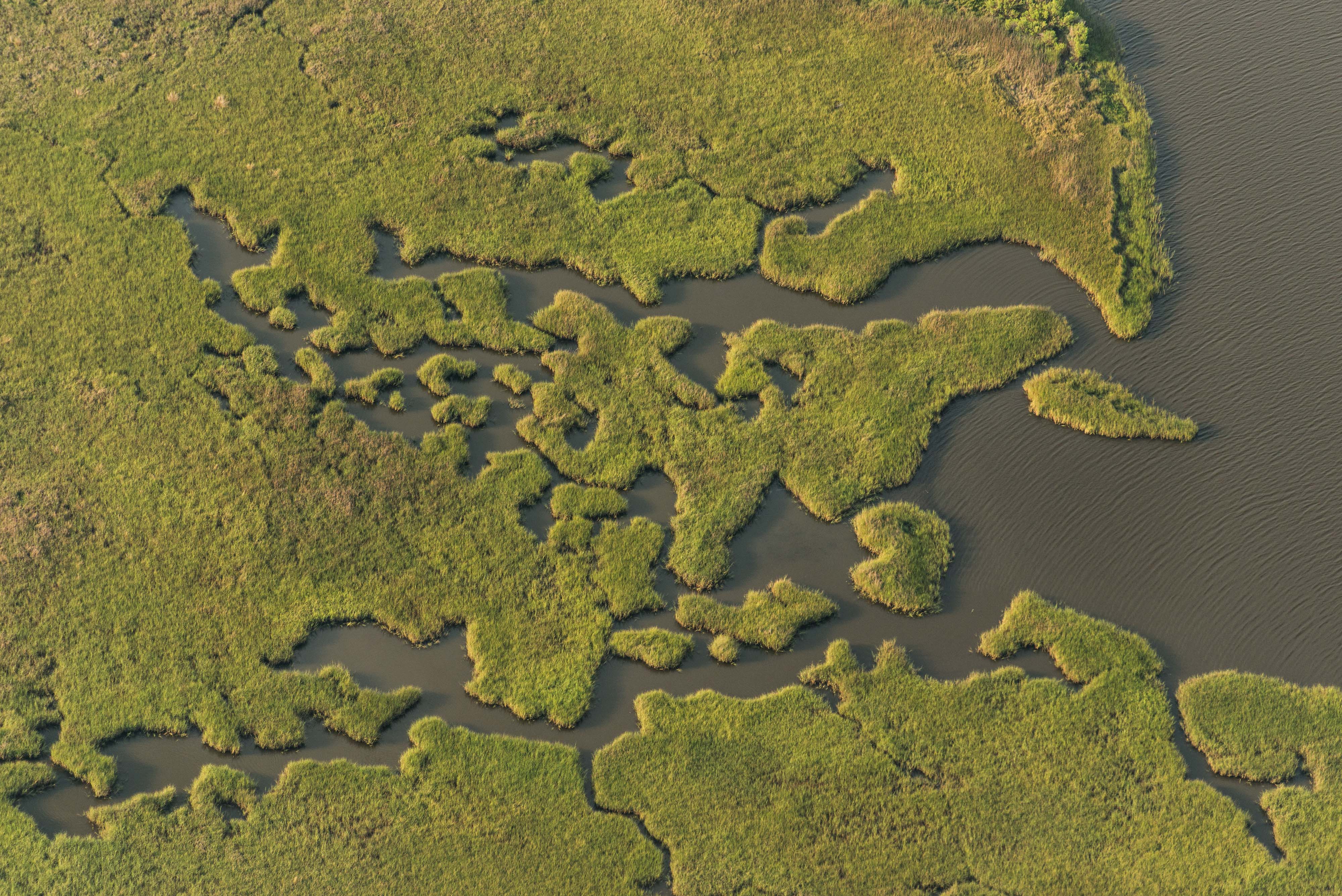 Aerial view of green marshland near Grand Bayou, Louisiana. 