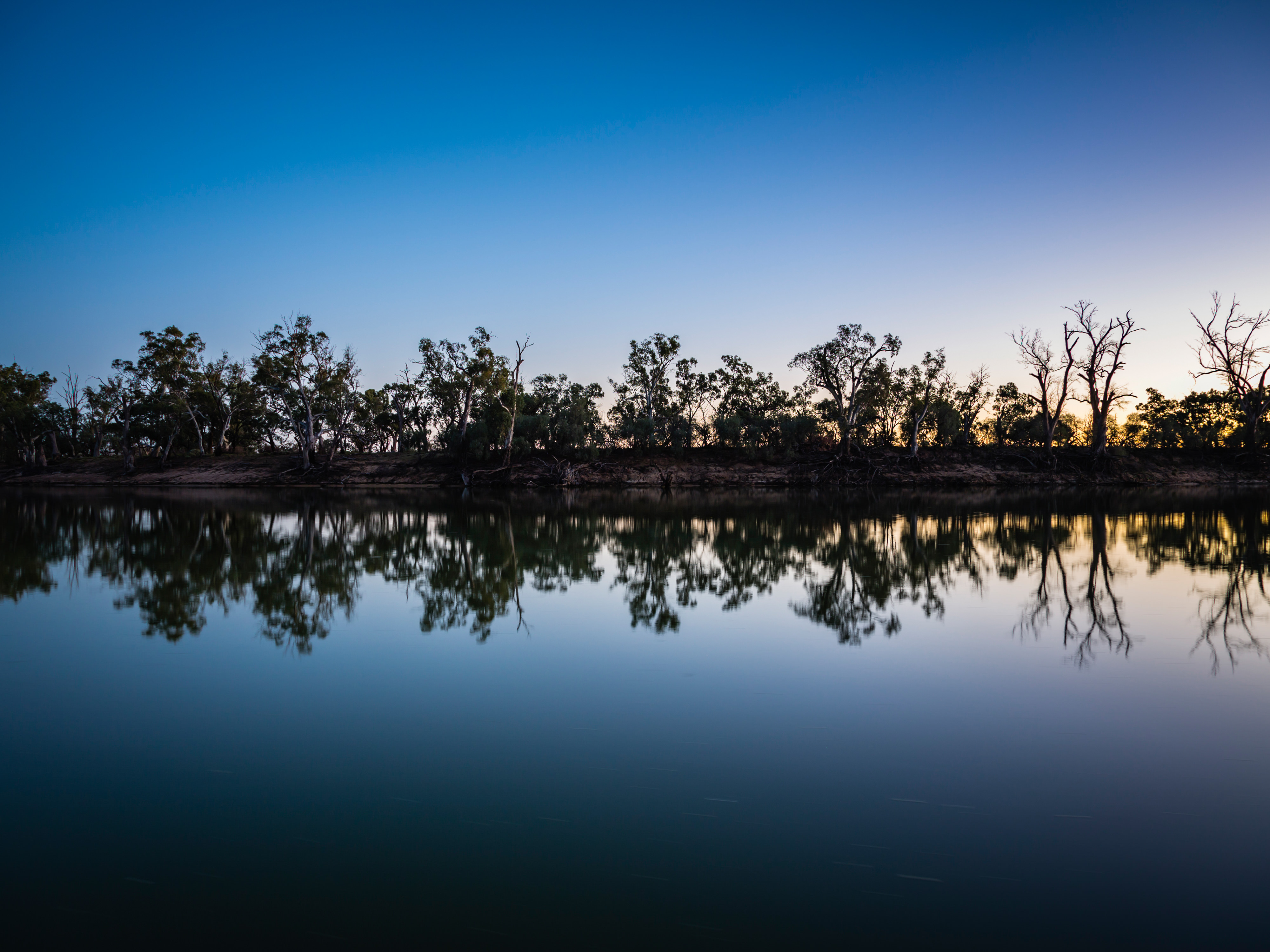 Murray-Darling Basin