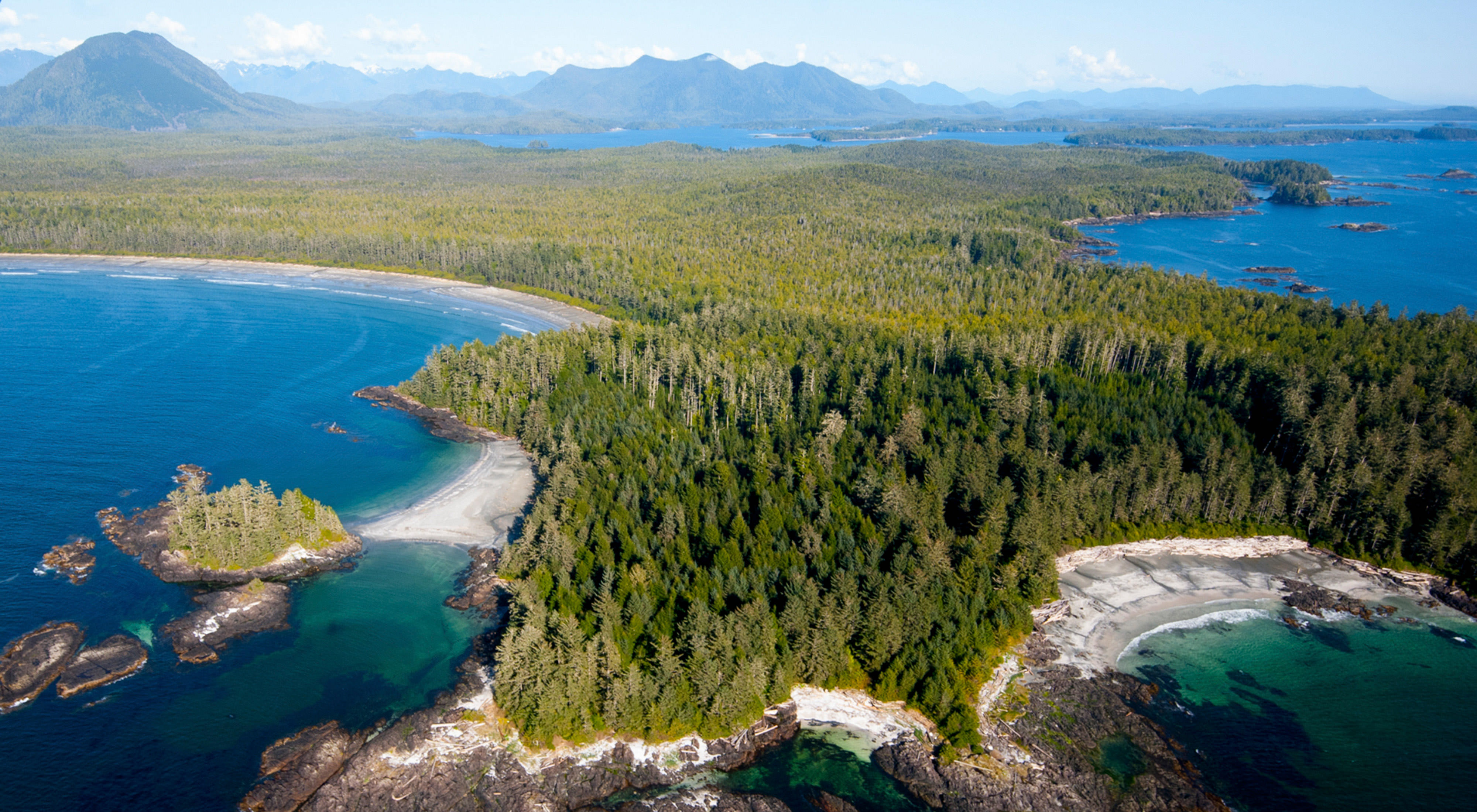 Aerial view of green trees surrounded by water