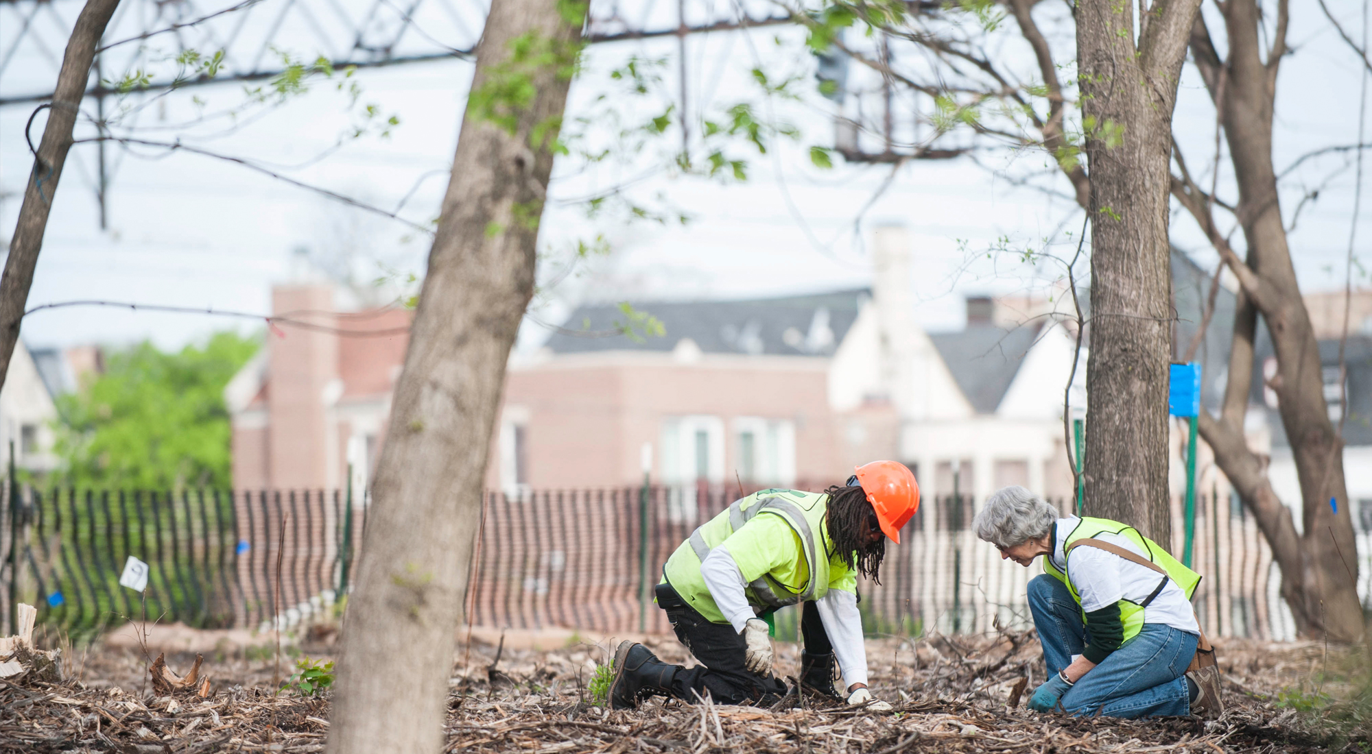 Volunteers in green vests planting a tree in a wooded park. 