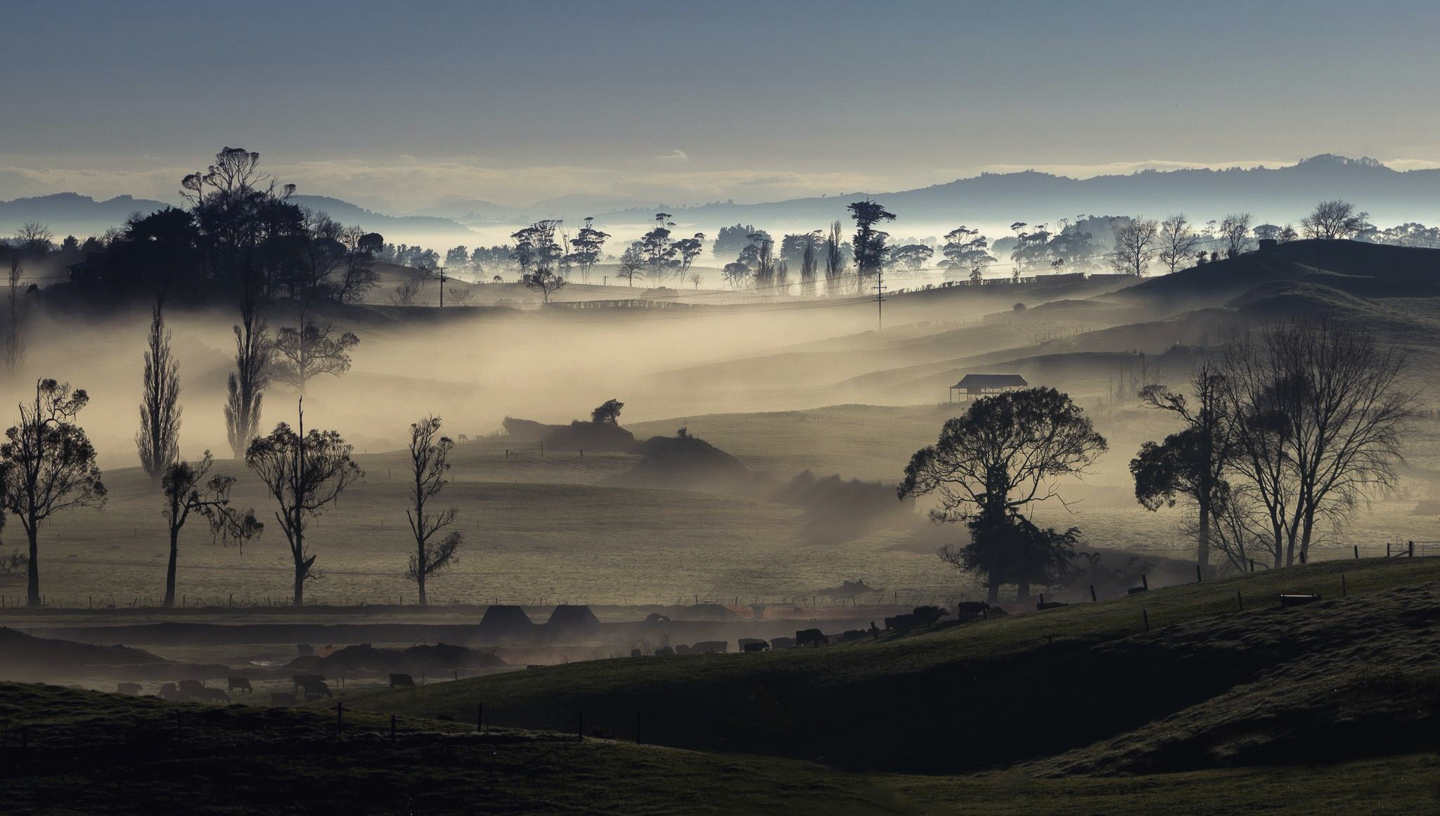 A landscape of rolling hills and trees is shrouded in mist at dawn.