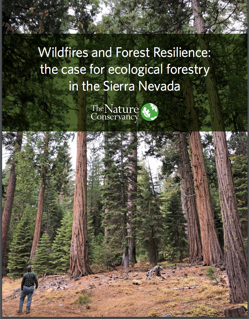 Wildfires and Forest Resilience Report
