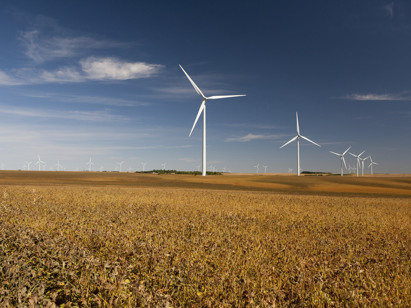 Photo of wind turbines on farm fields.
